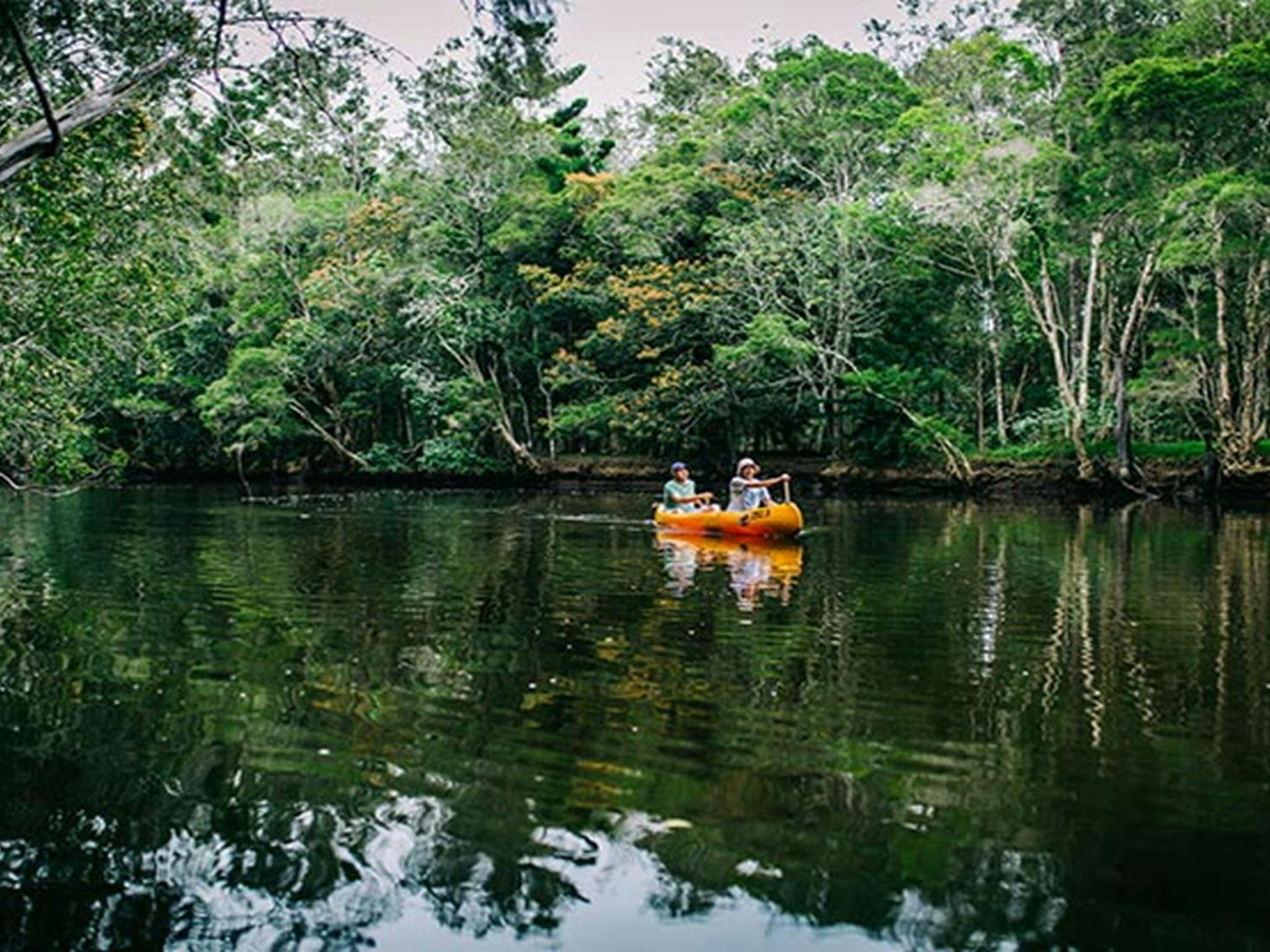 View of  2 people canoeing on Pine Creek, with a tree branch in the foreground and creek bank in