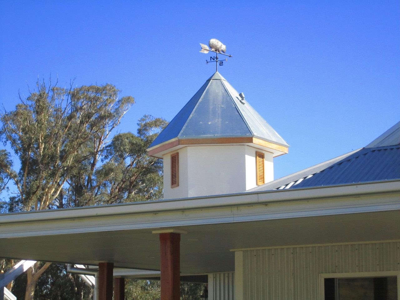 Wombat Wind Vane