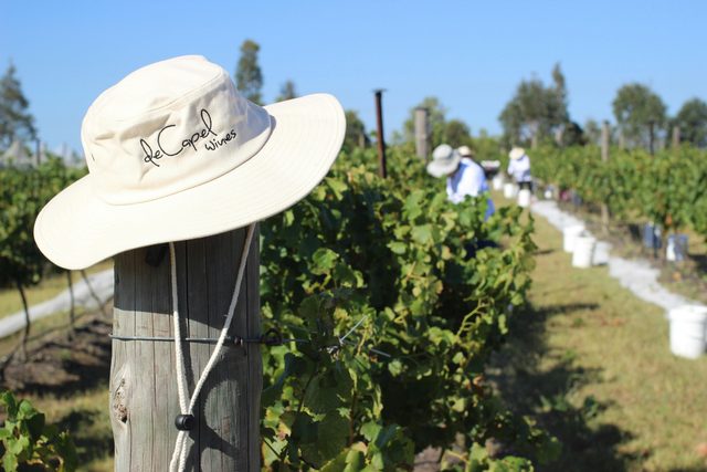 de Capel Wines