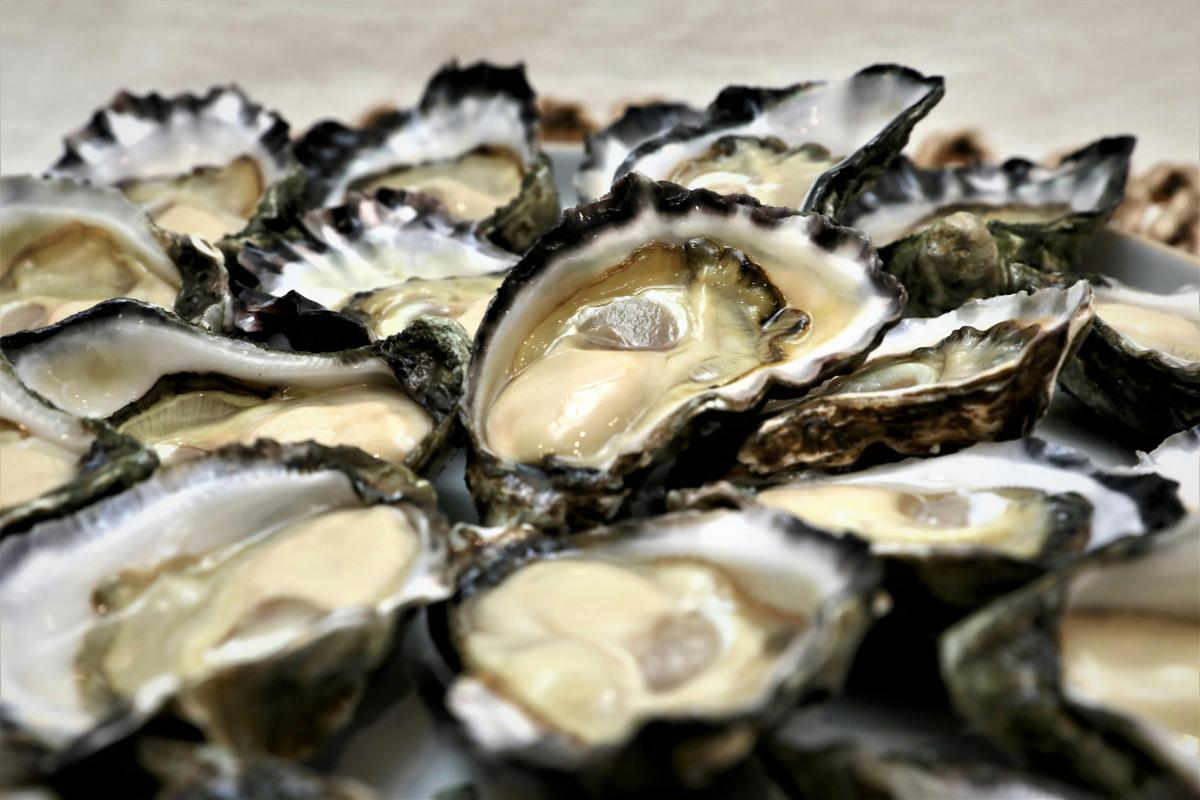 Dawson's Oyster Supplies