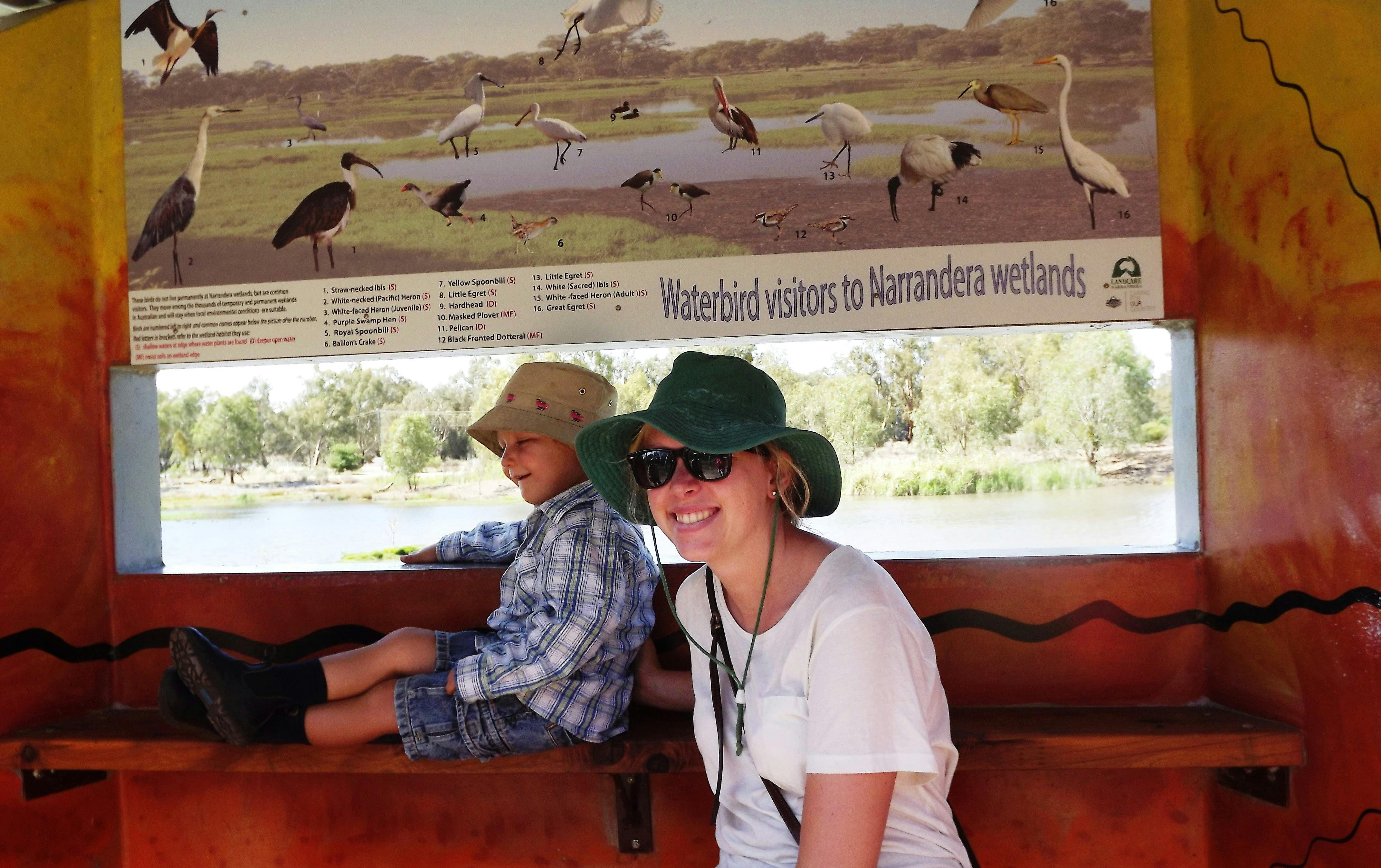 Birdwatching at Narrandera Wetlands