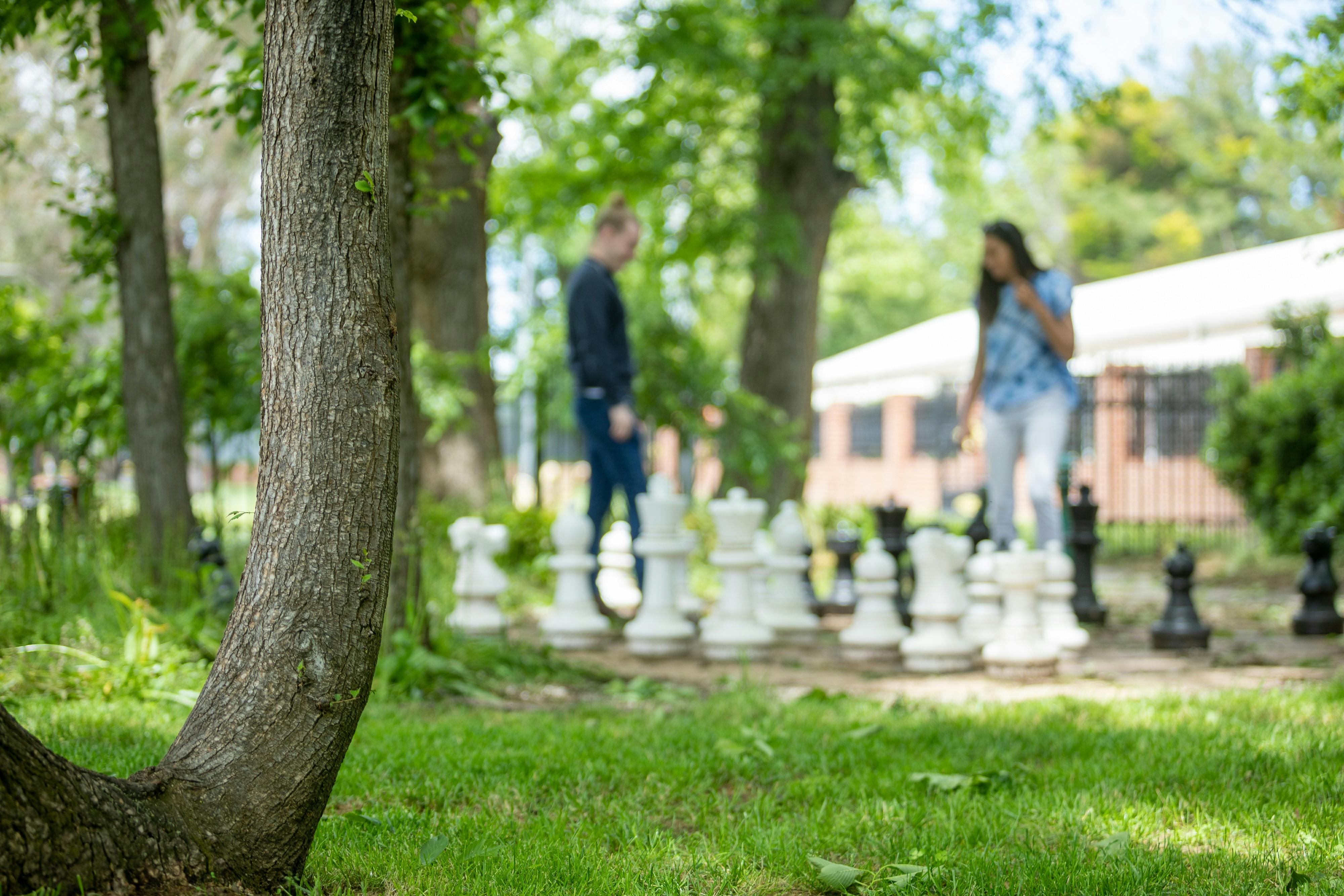 Giant chess at The Flock