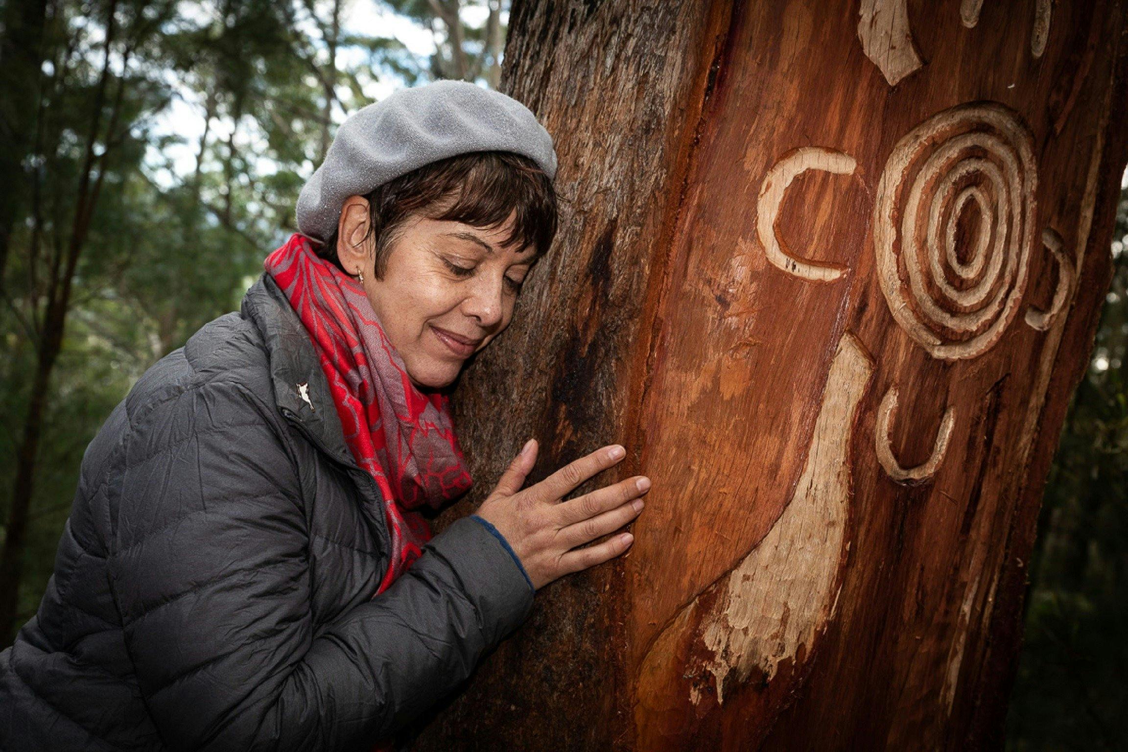 Bulahdelah Mountain Aboriginal Place tree carving
