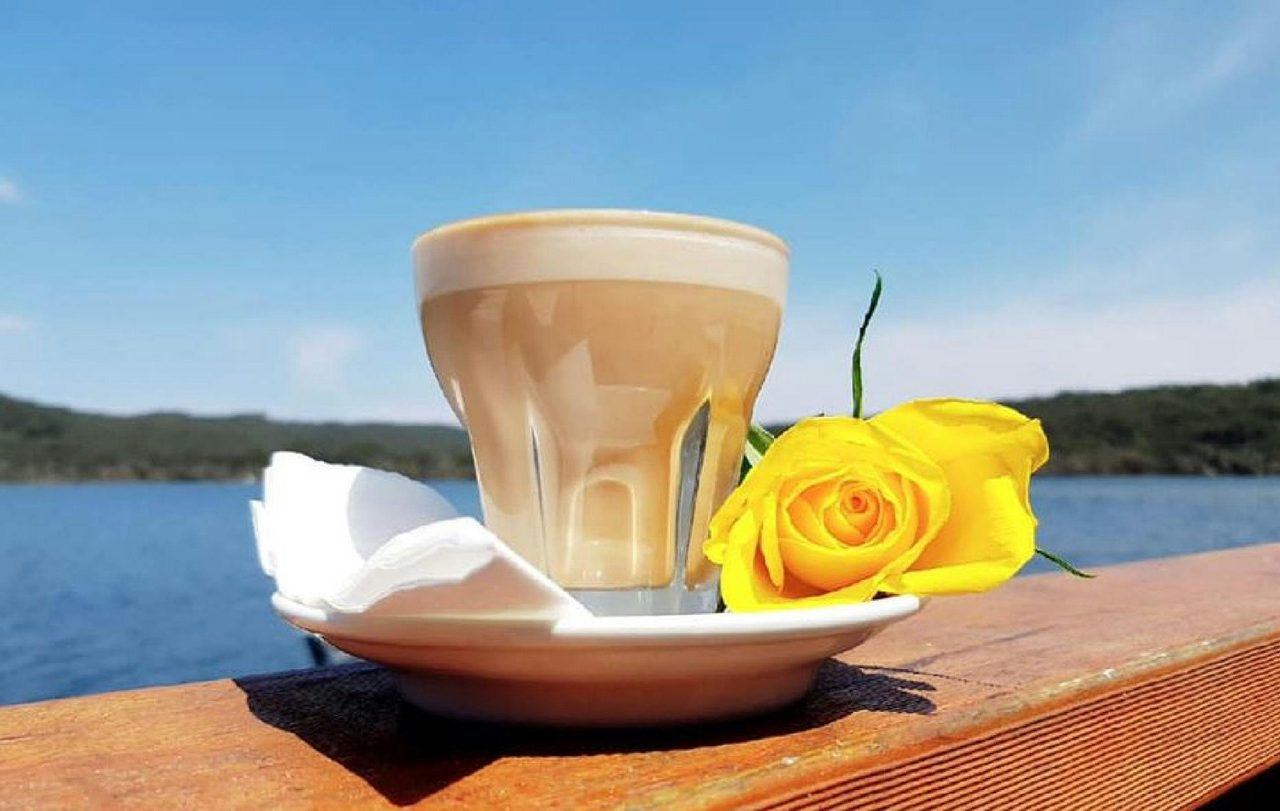 Coffee