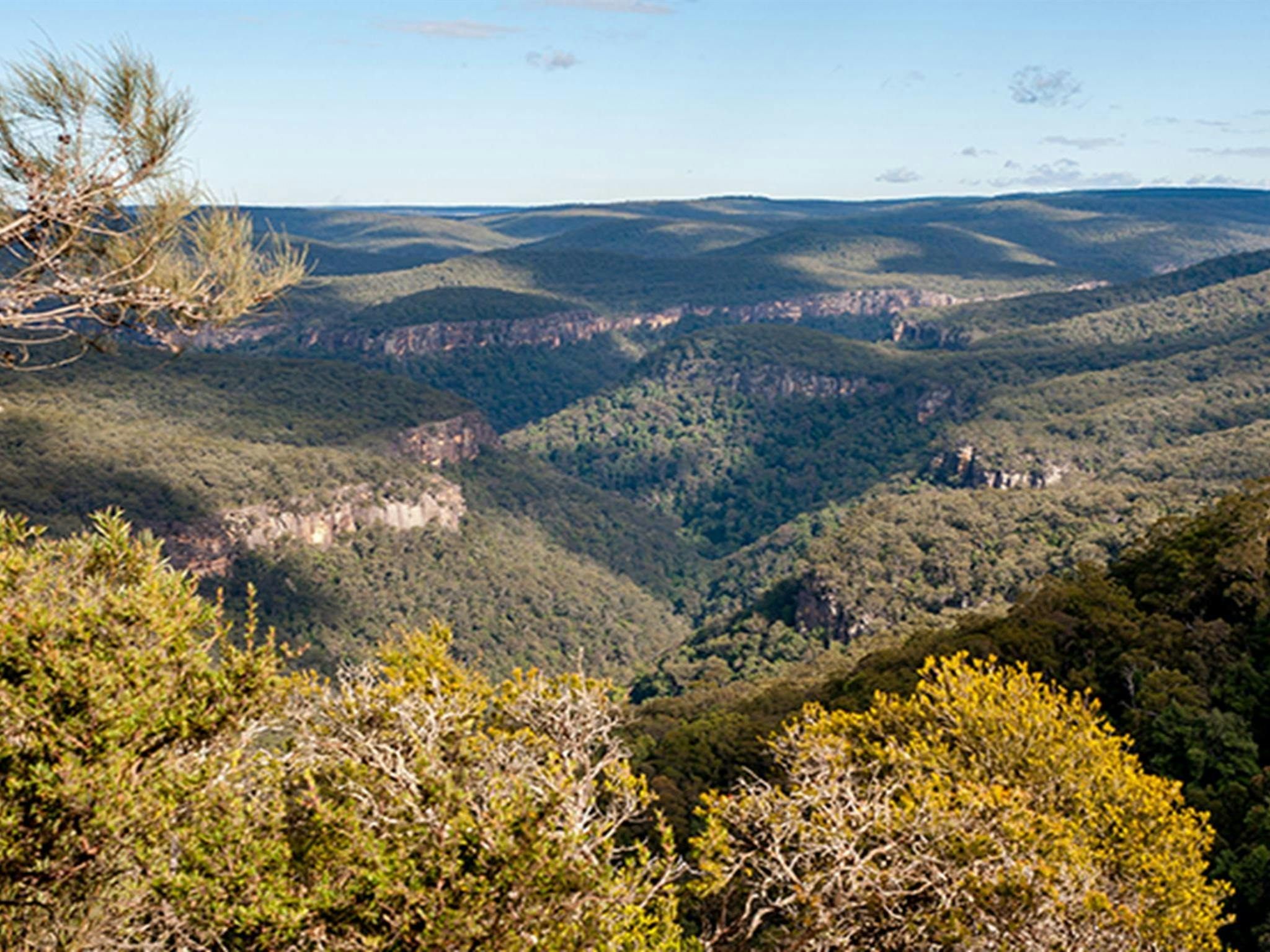 View from Beauchamp Cliffs lookout past scrub vegetation to Morton National Park wilderness. Photo:
