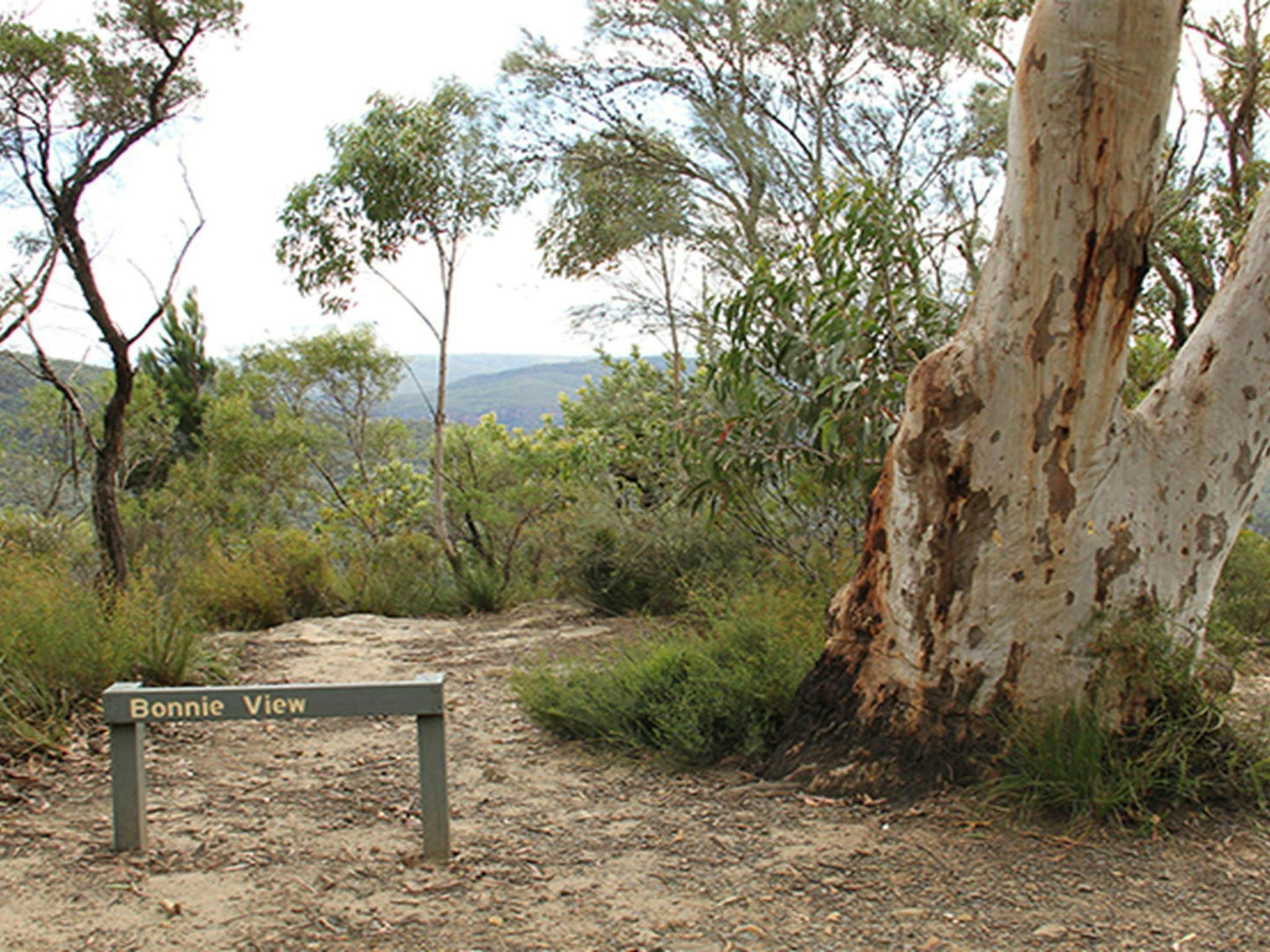 Sign for Bonnie View lookout, set in native bushland in Morton National Park. Photo: John Yurasek