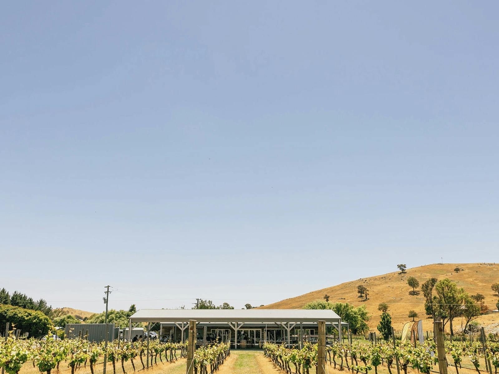 Four Winds Vineyard Cellar Door