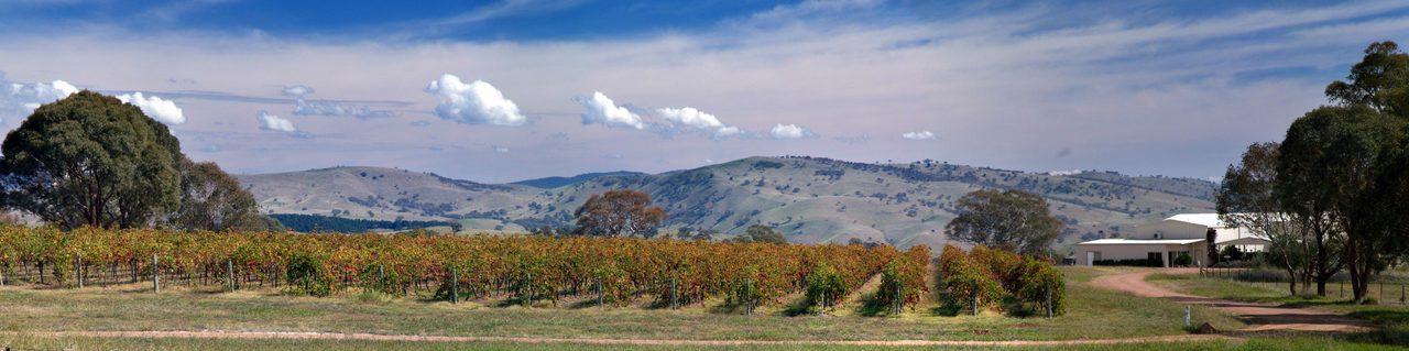 Panorama