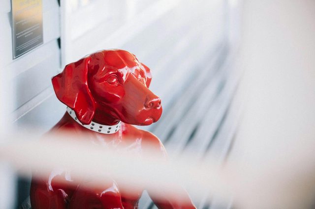 Gundog Estate Hunter Cellar and Gourmet Pantry