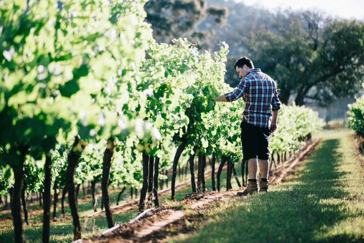 Gundog Estate Hunter Cellar and Gourmet Pantry