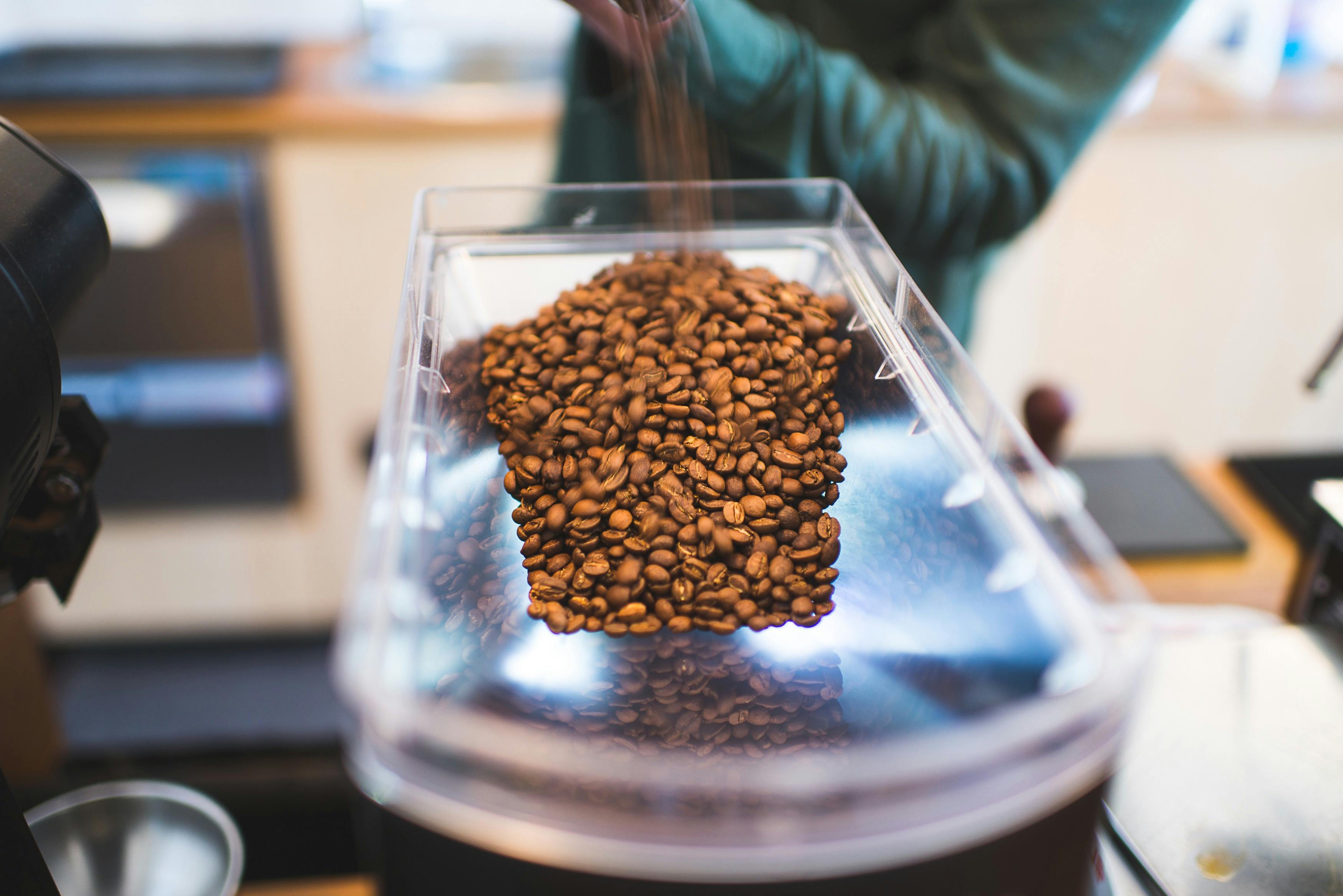 photo of coffee beans