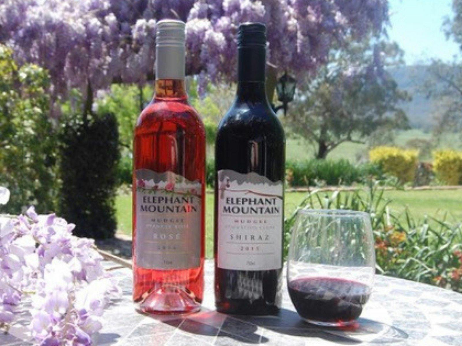 original Elephant Mountain