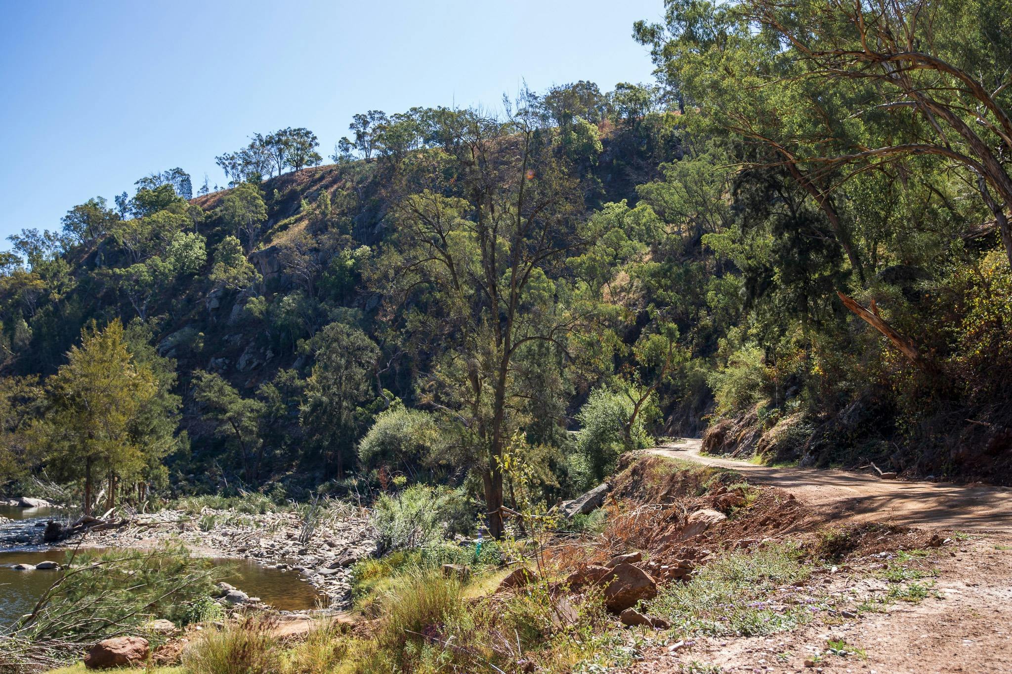 The Bridle Track at Root Hog Road Crossing