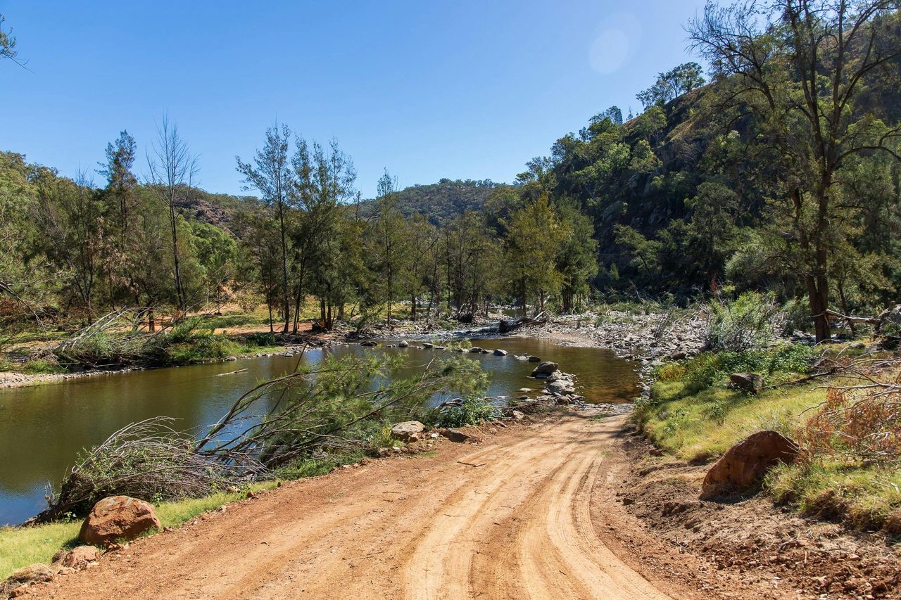 The Root Hog Crossing At the Bridle Track