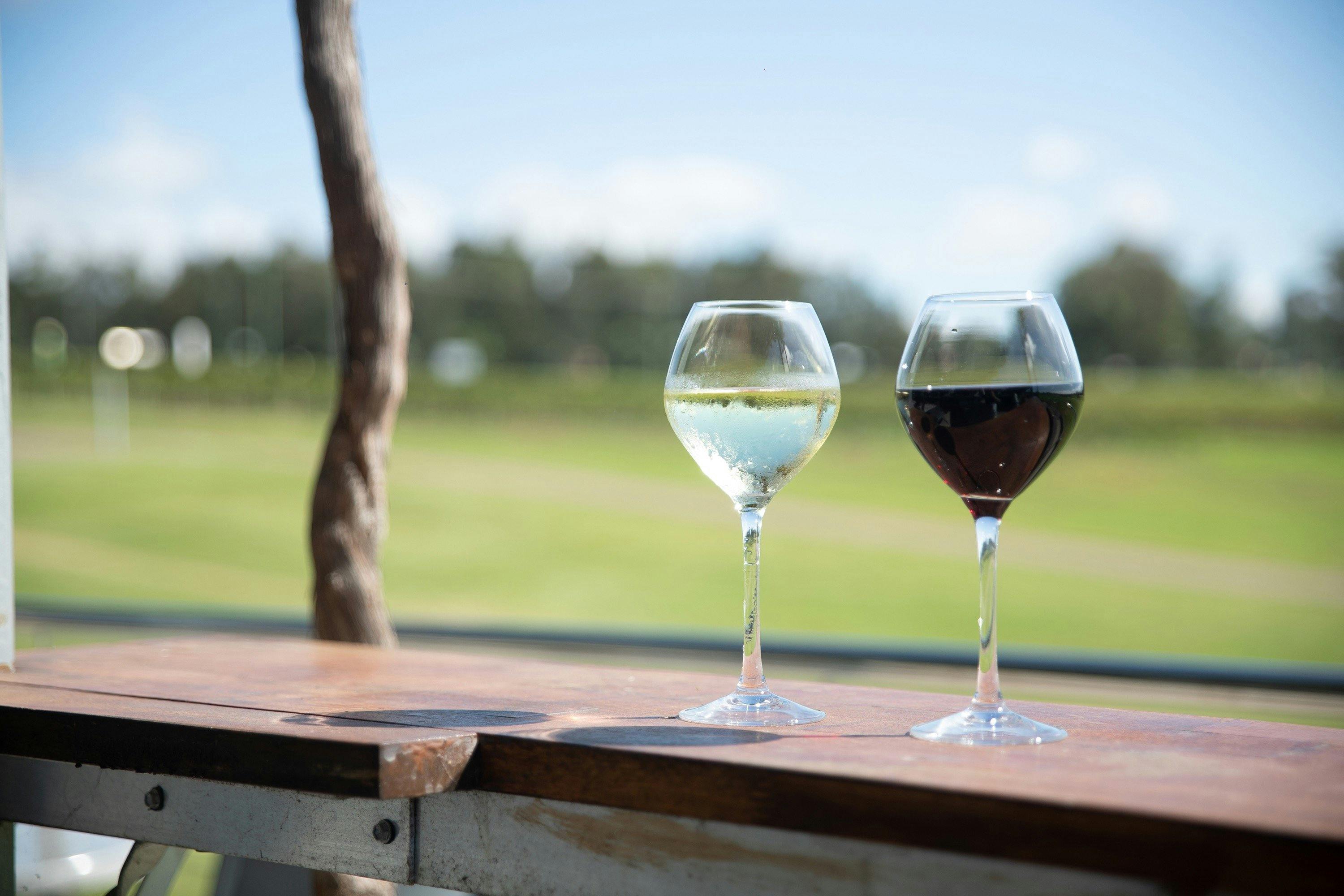 Wines on the Goldfish Terrace