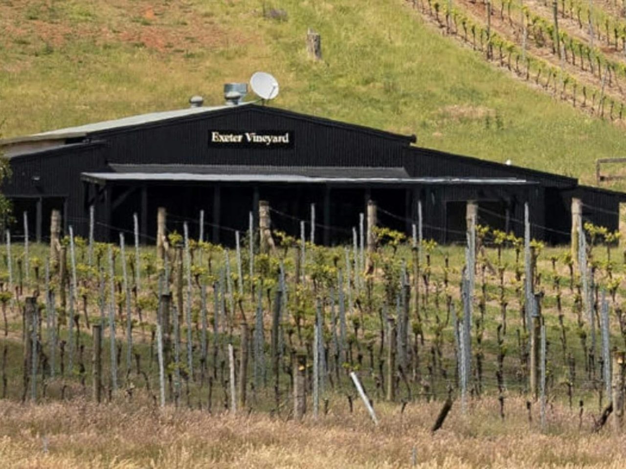 Exeter Vineyard 2