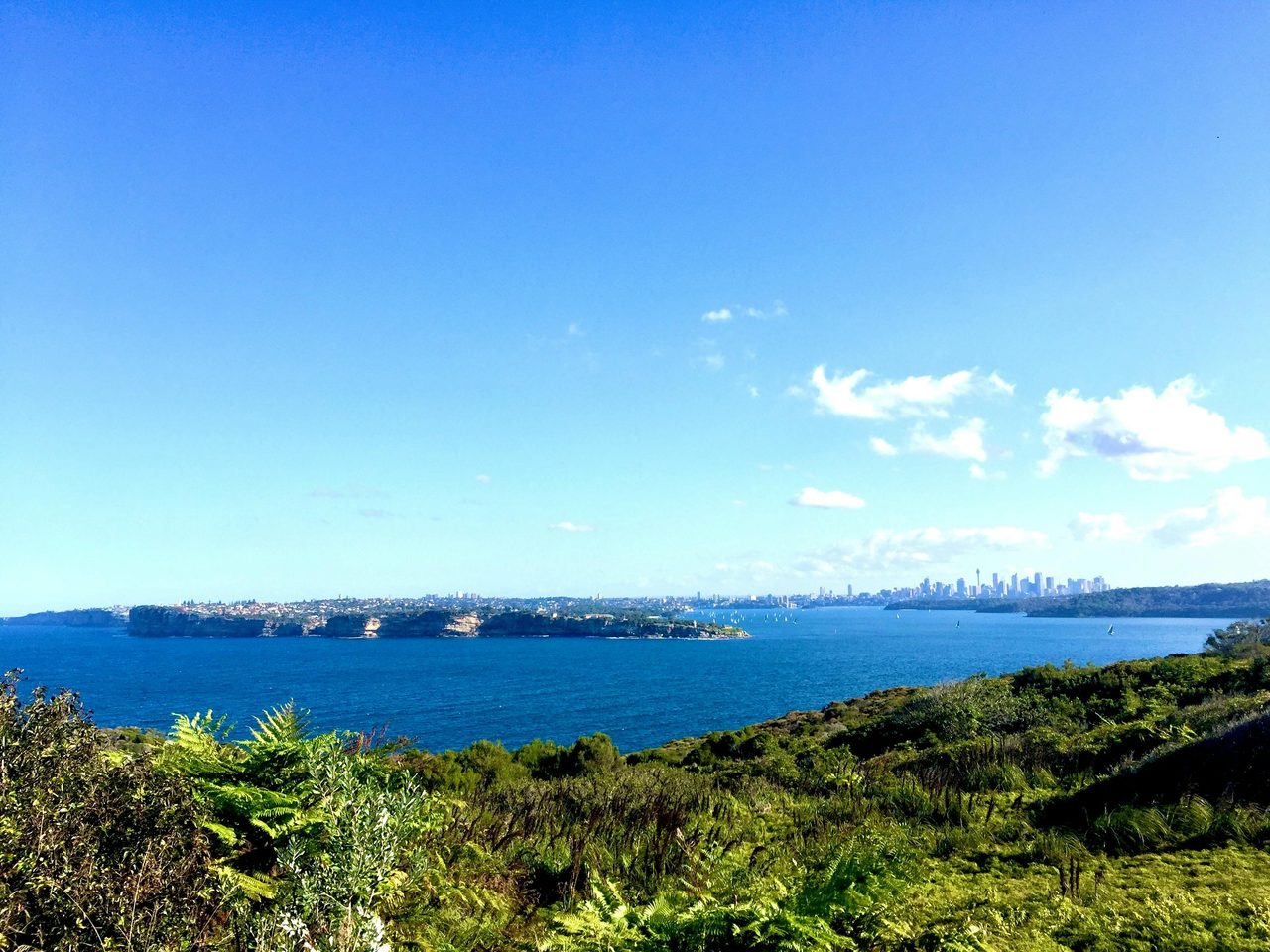 North Head views