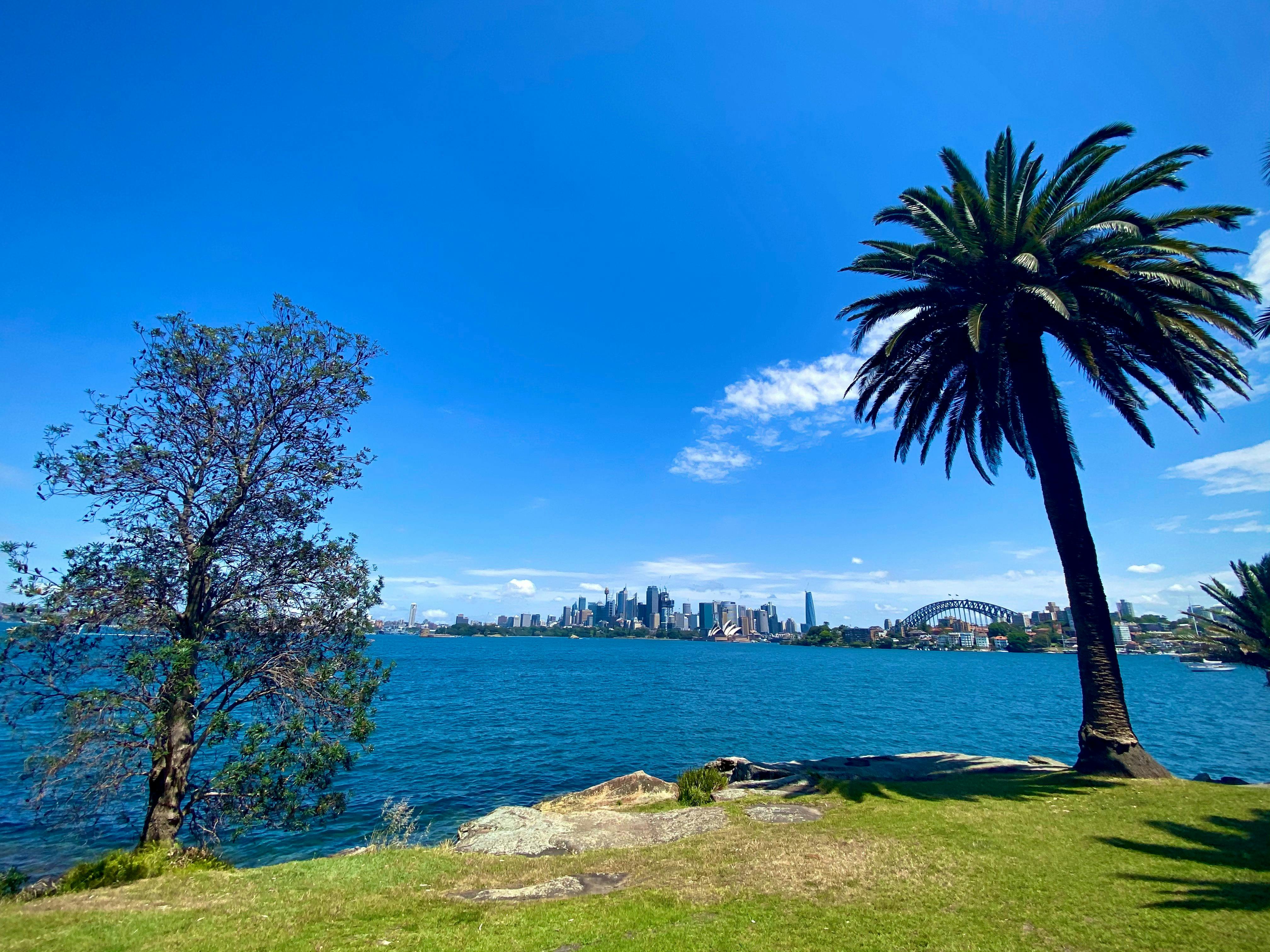 Cremorne Point