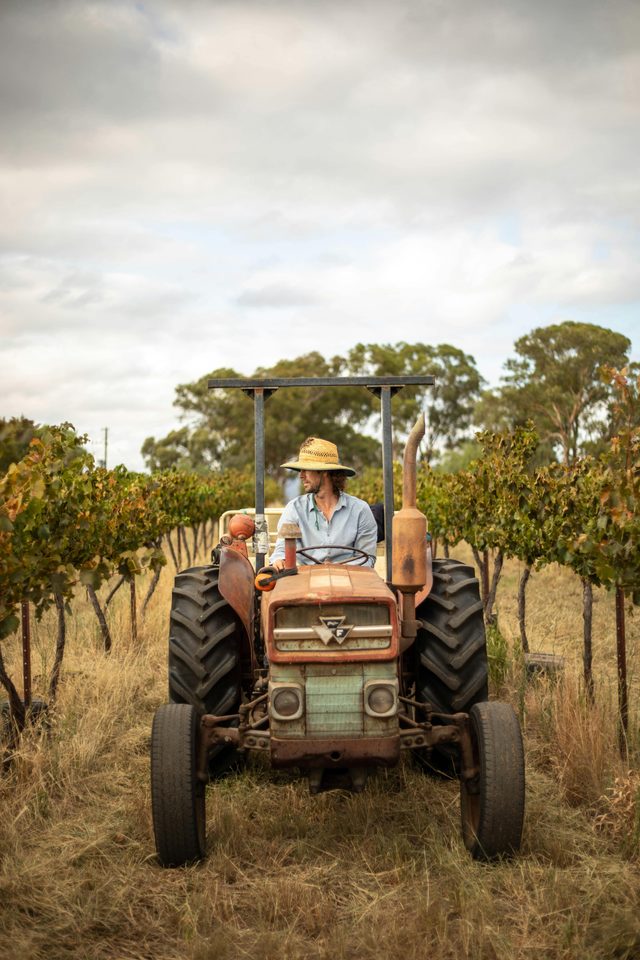 Heslop Wines