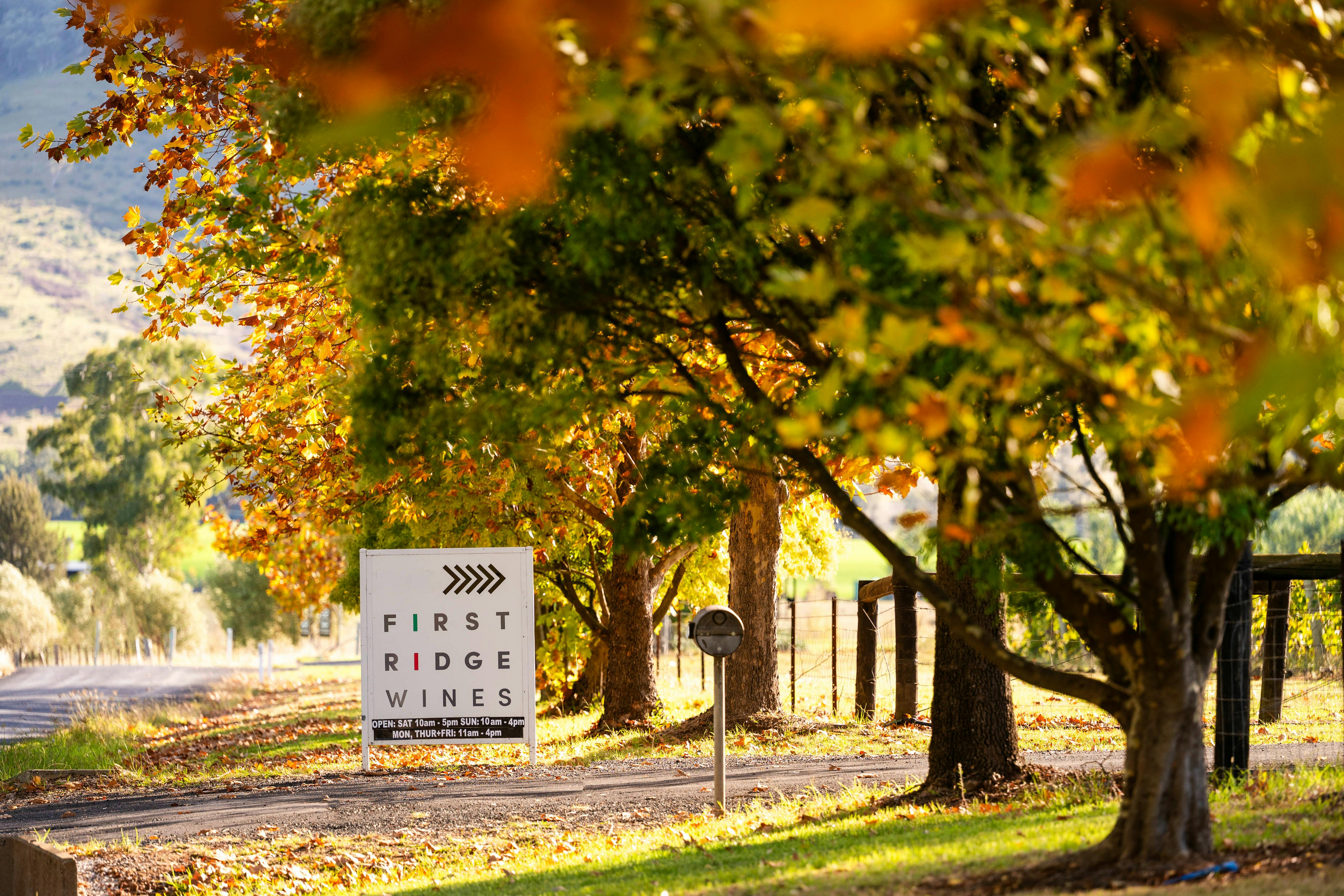 Beautiful colours welcome you to First Ridge