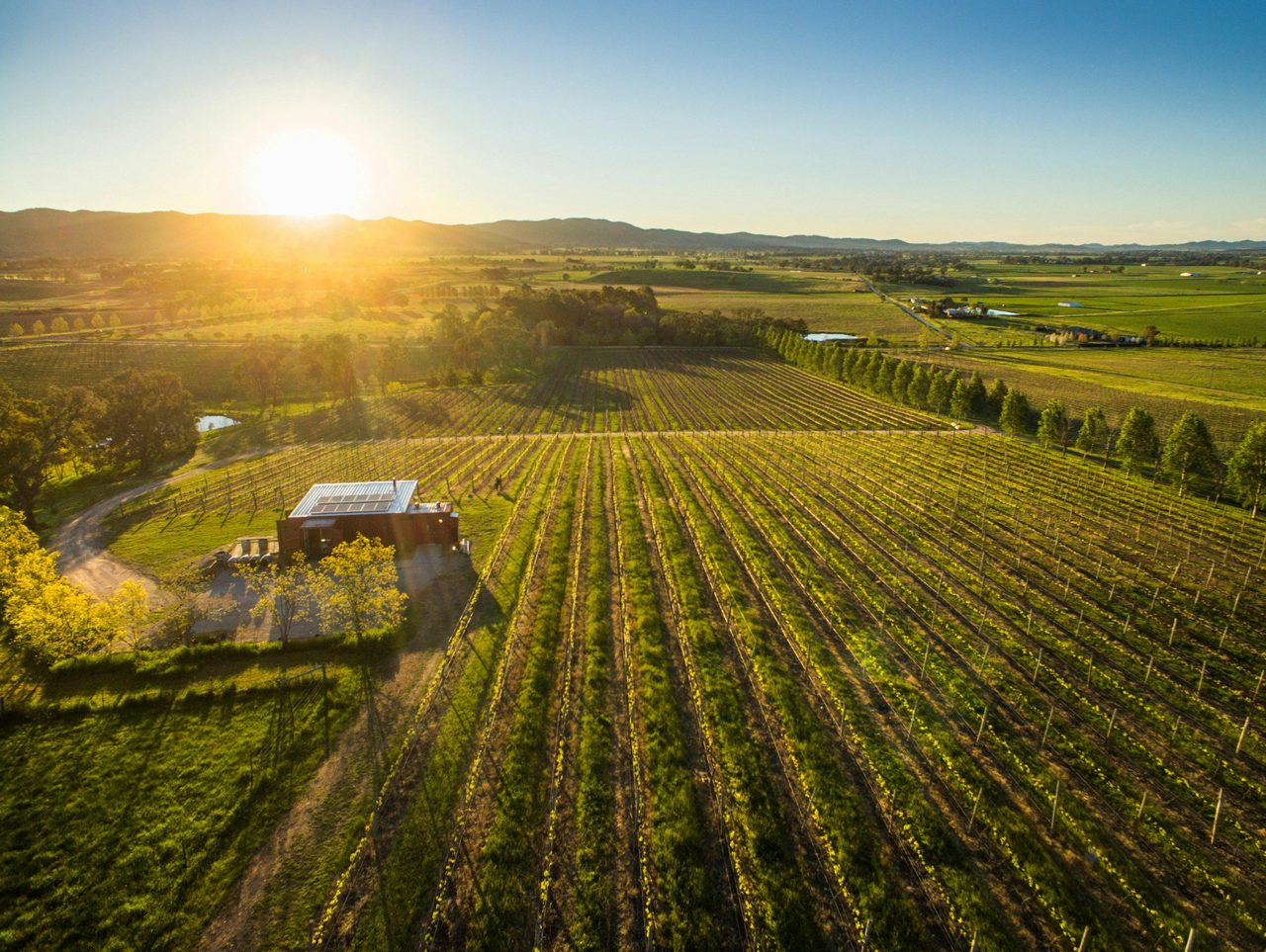 The best views at First Ridge Cellar Door