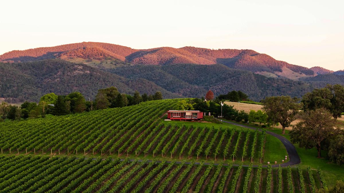 Stunning cellar door setting