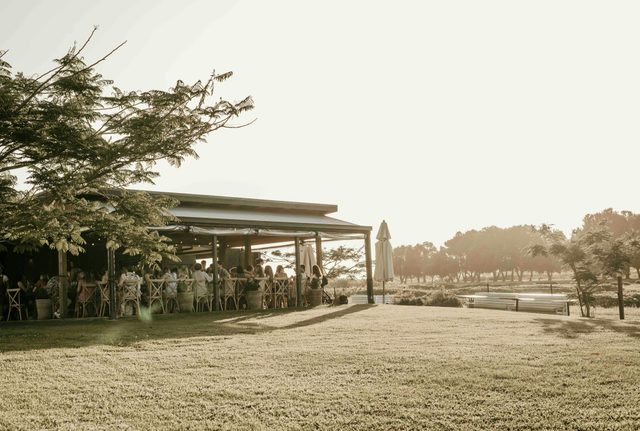 Farm and Co