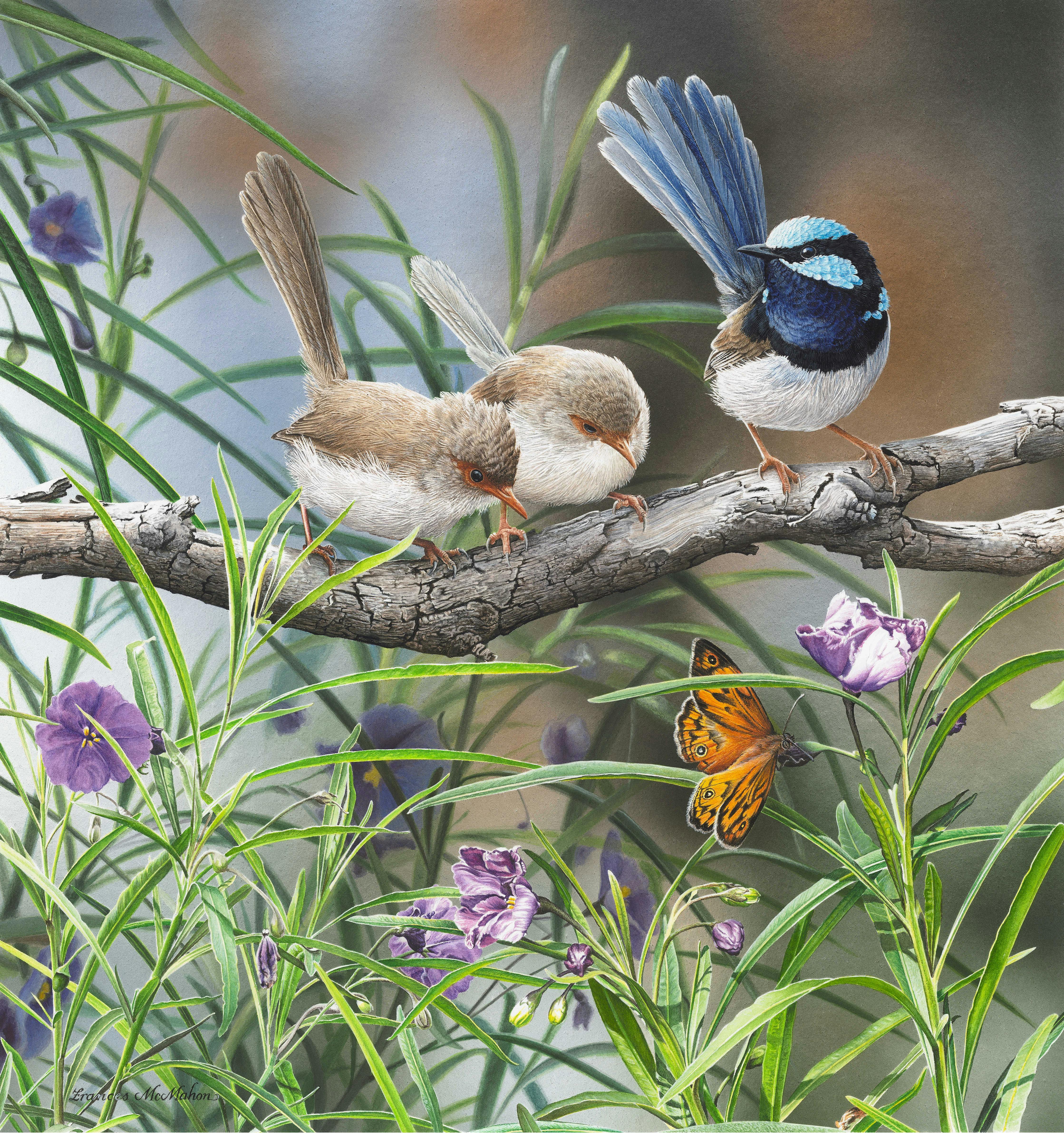 Painting of Blue Wrens