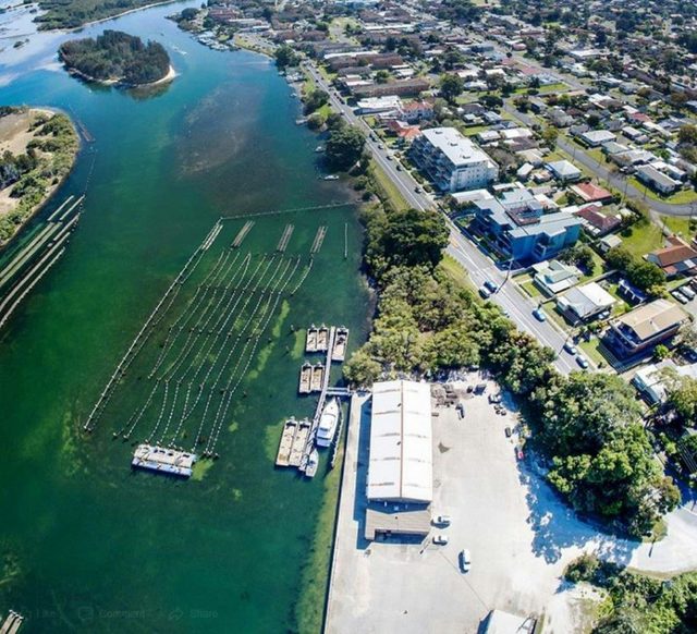 Graham Barclay Oysters