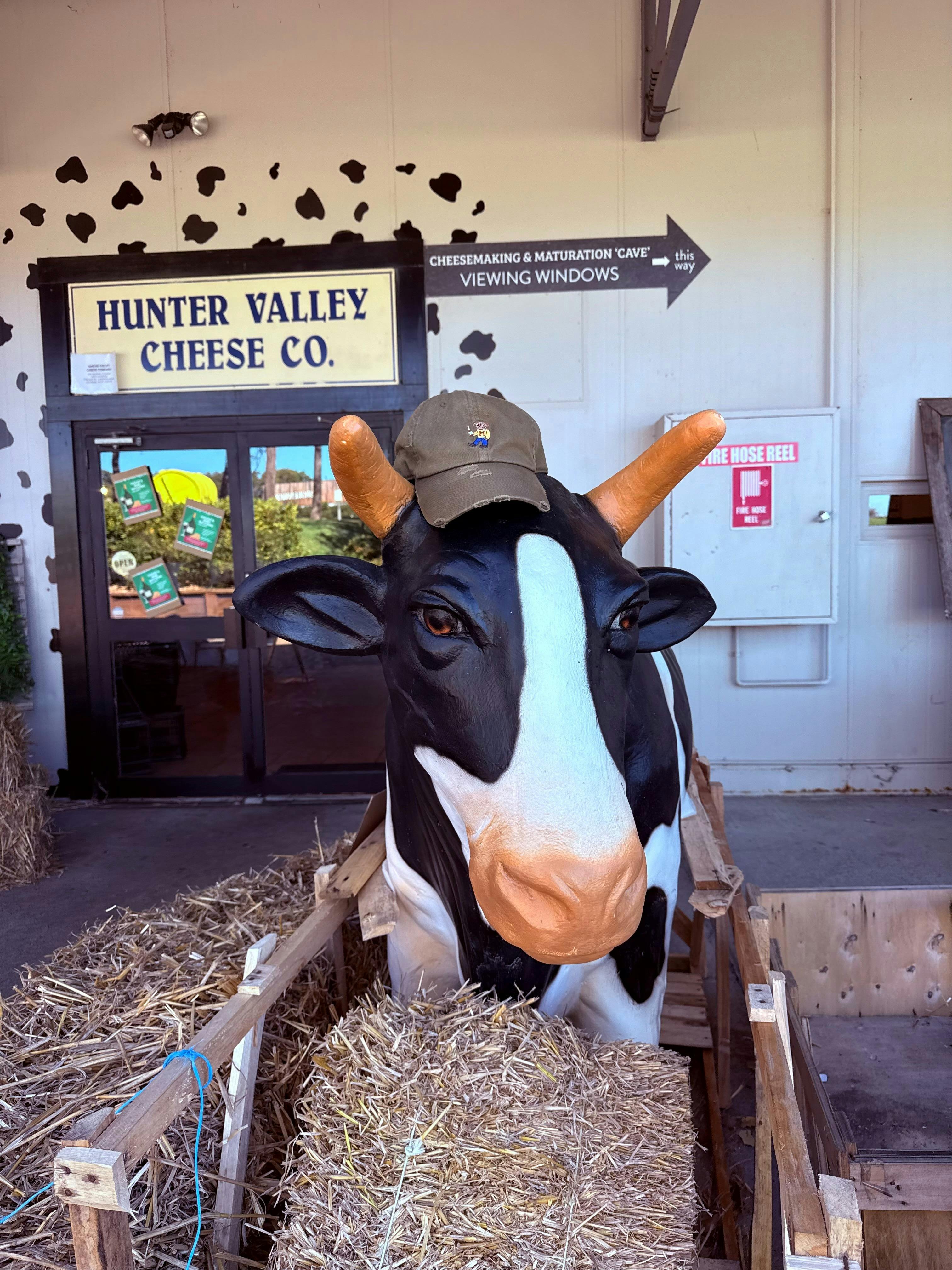 display Milking Cow - Millicent
