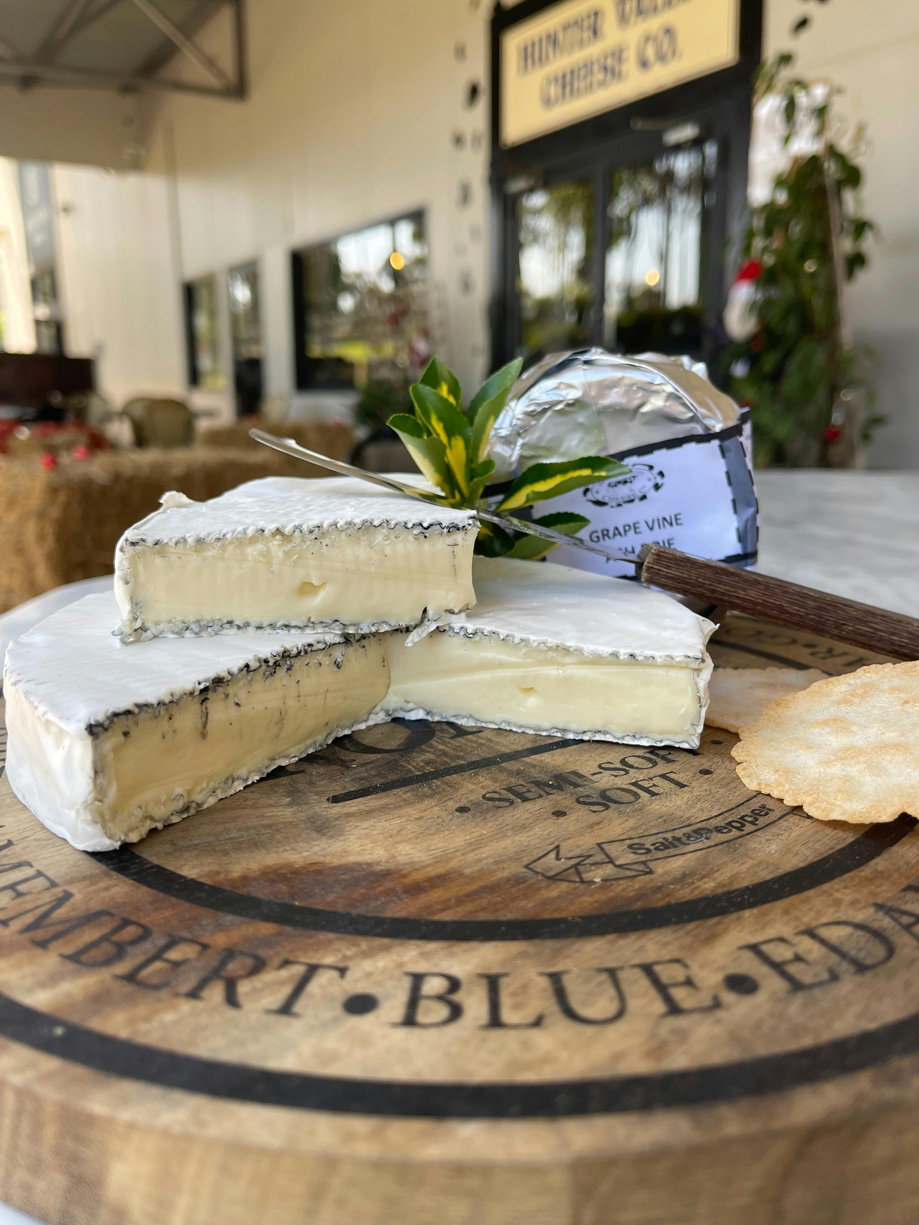 Grape Vine Ash Brie