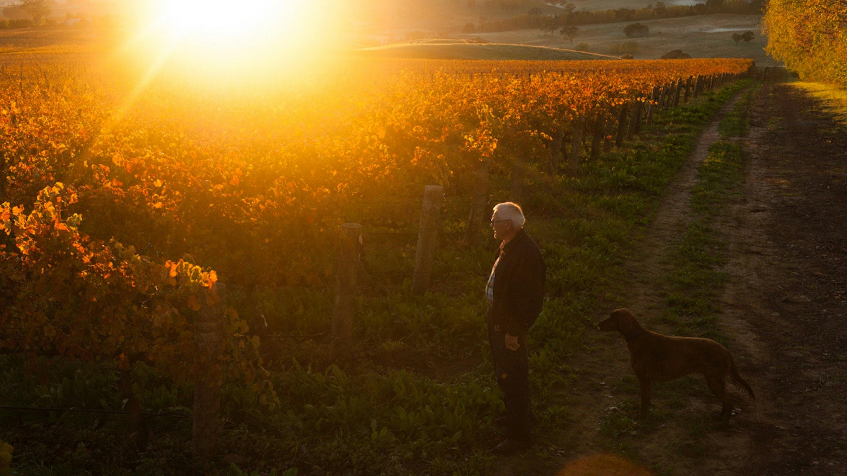 Philip Shaw at Koomooloo