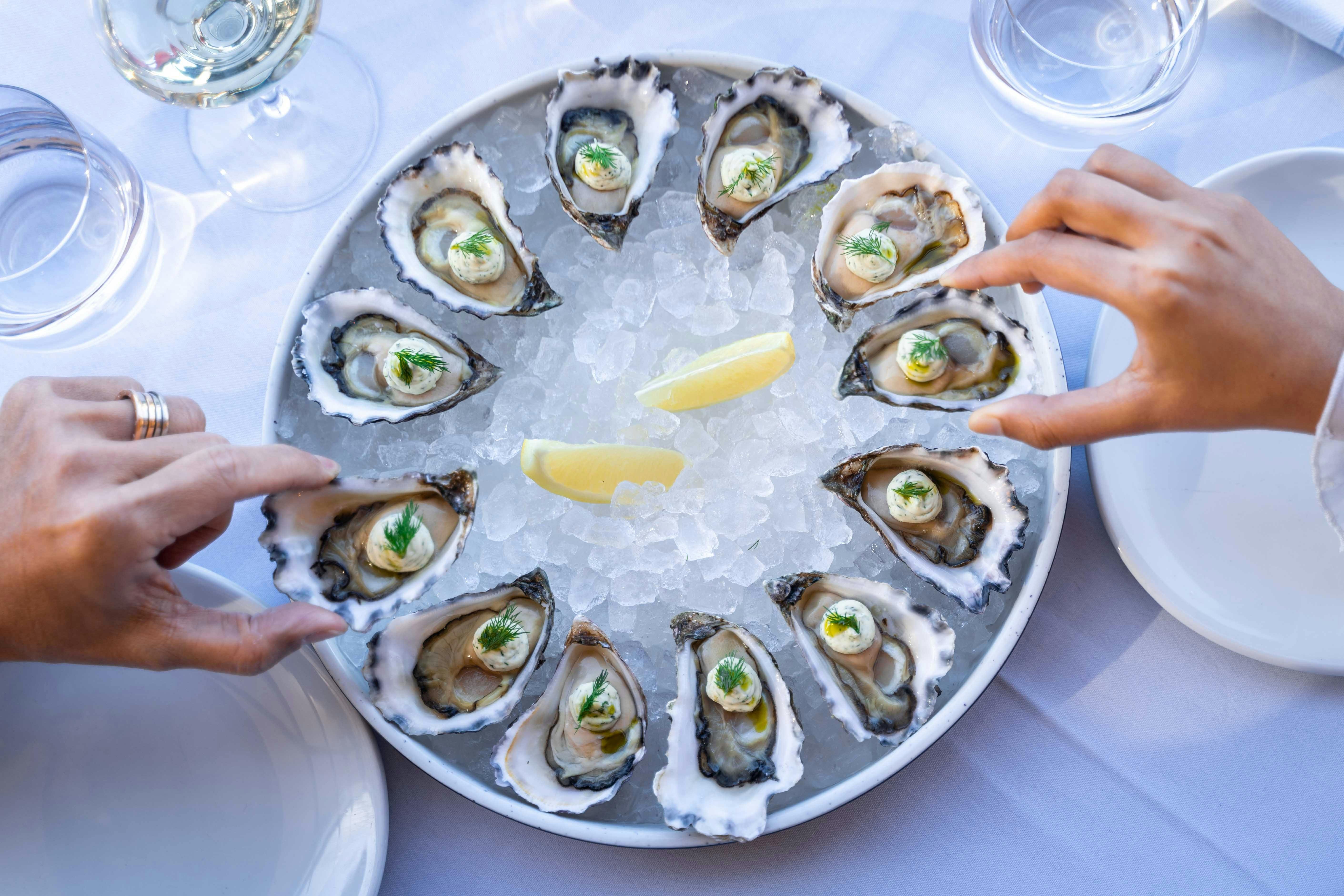 Shucked Sydney Rock Oysters