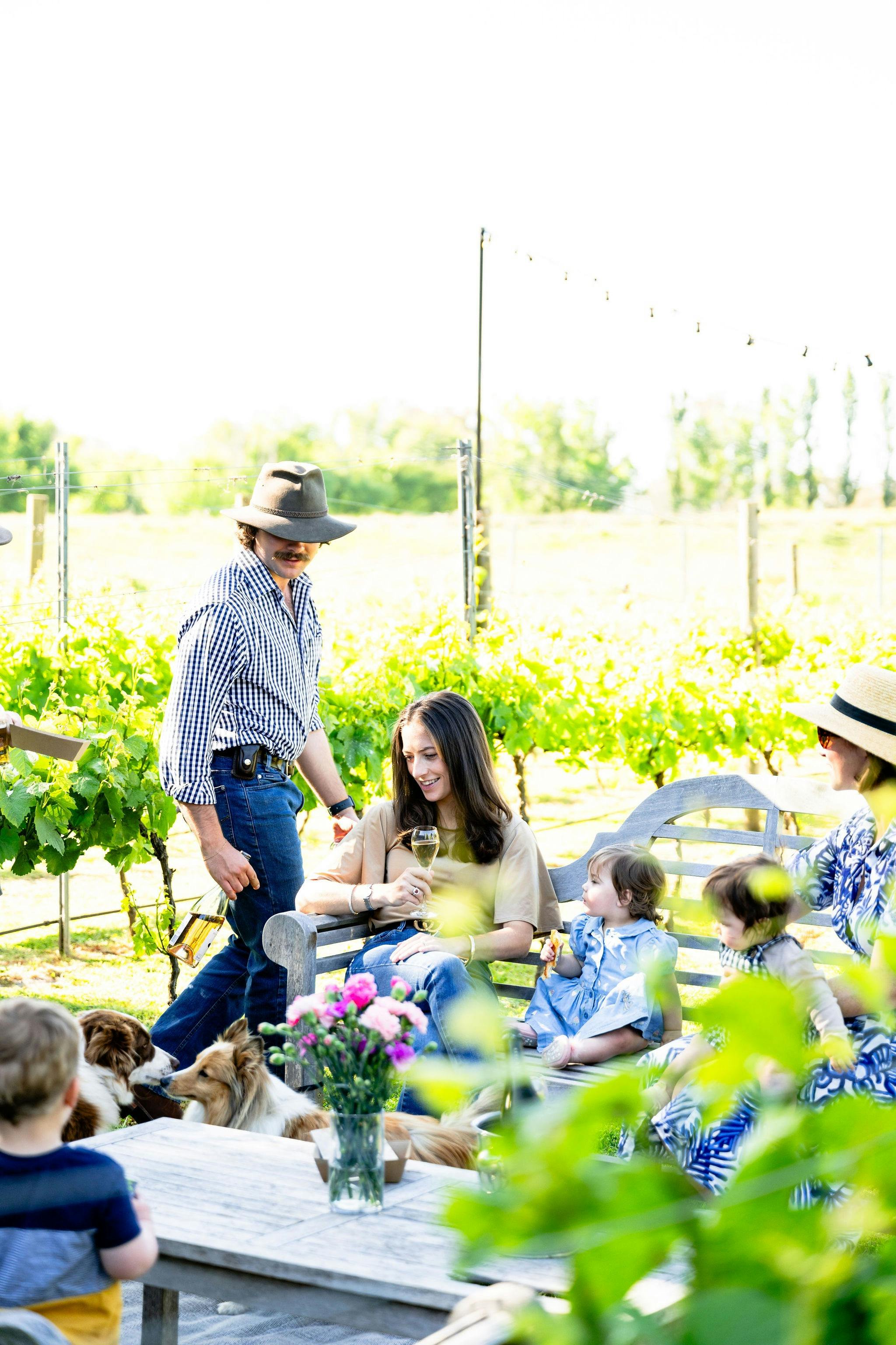 Wine tastings in our beautiful country garfen