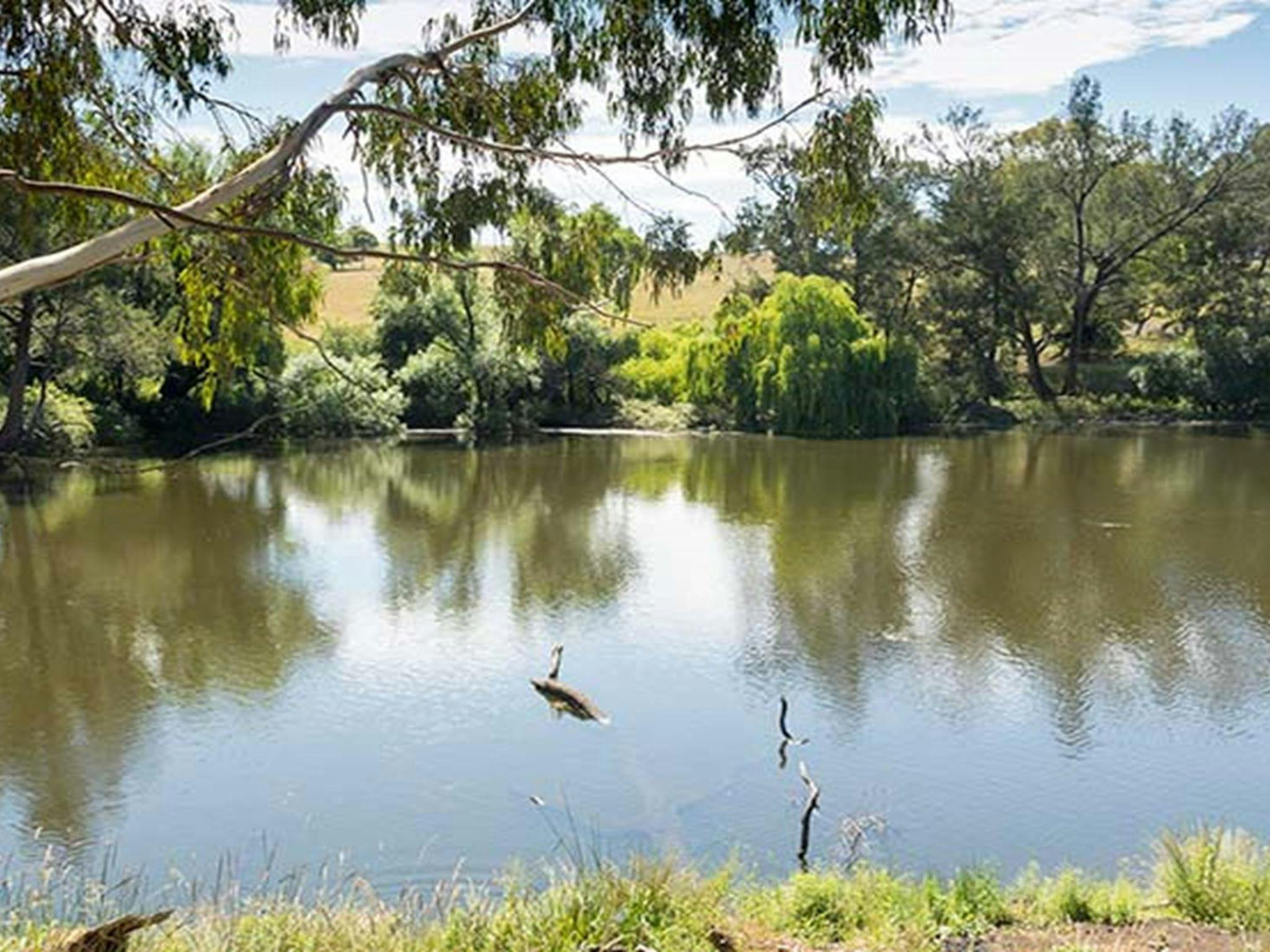 View of the river at Blue Hole picnic area. Photo: Leah Pippos &copy; DPIE