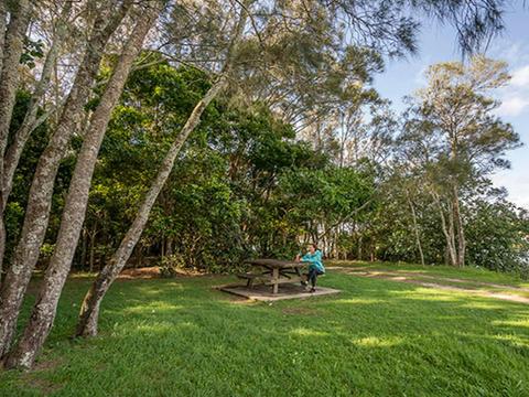 Brunswick River picnic area