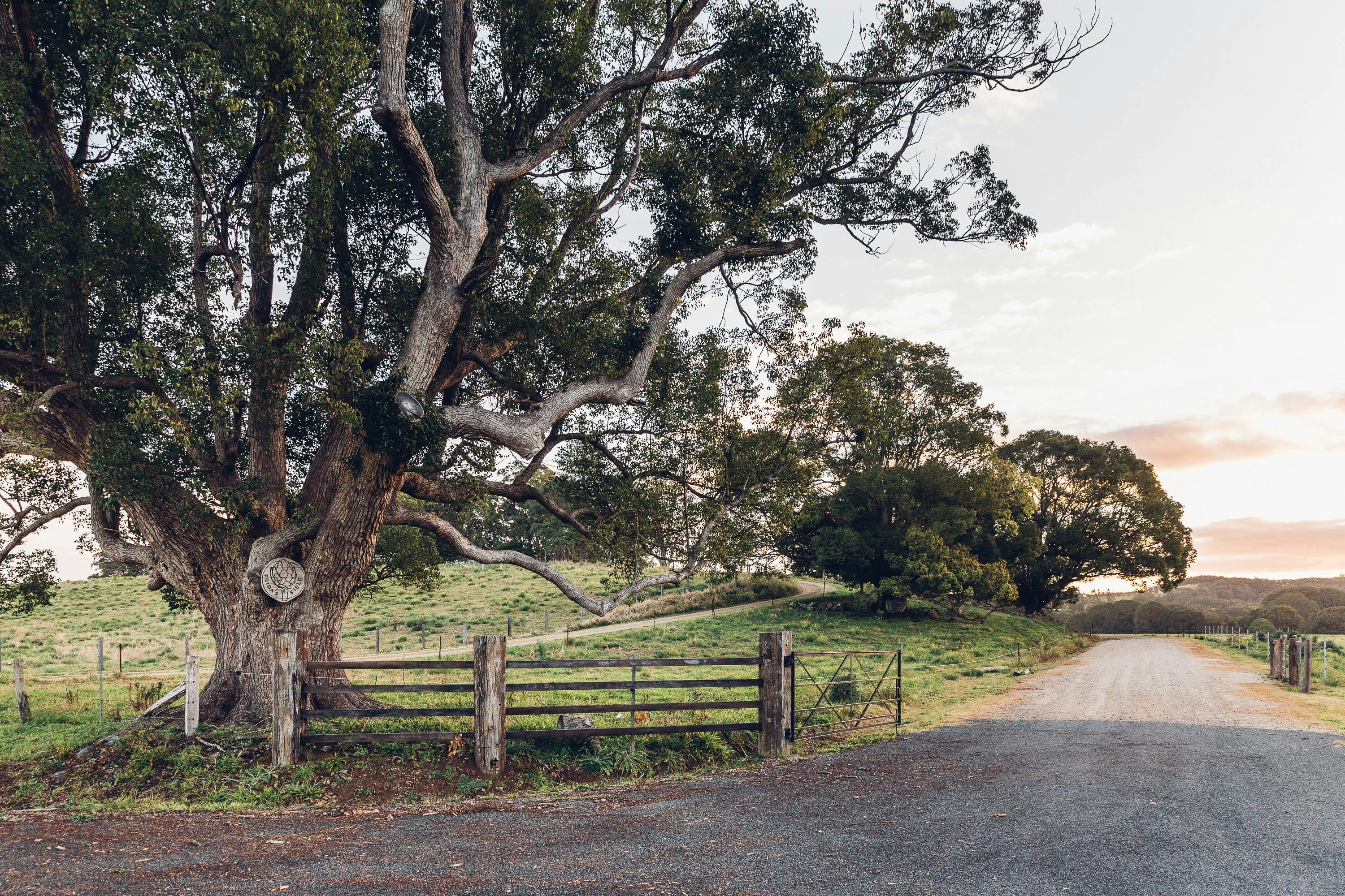 Entry to the farm & restaurant