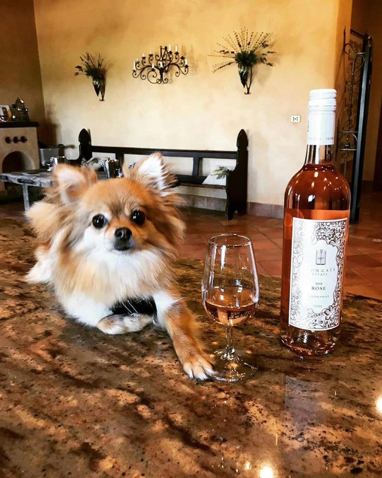 Pet friendly !