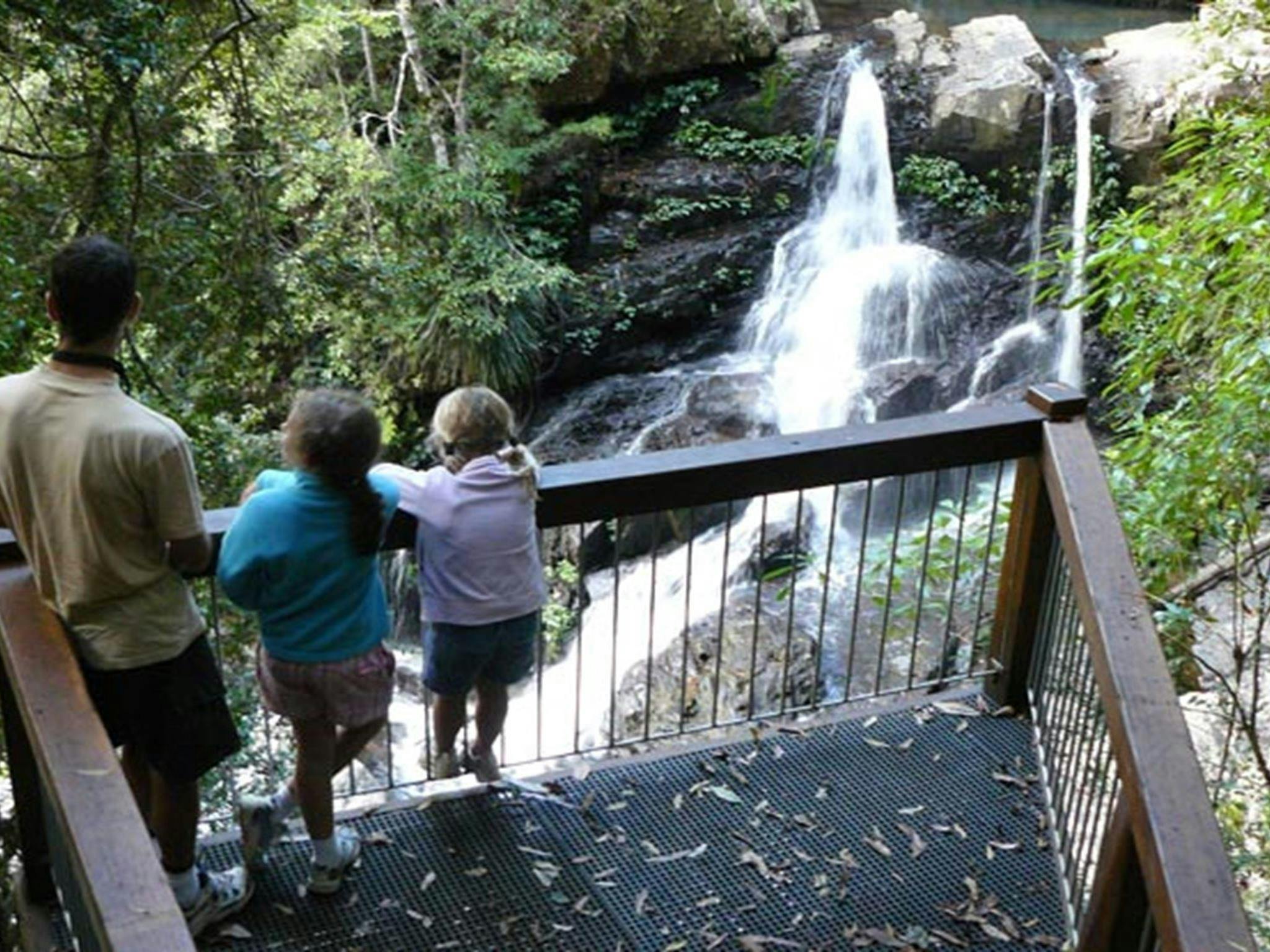 Bangalore Falls, Bindarri National Park. Photo: Barbara Webster/NSW Government