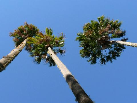 Bindarri National Park