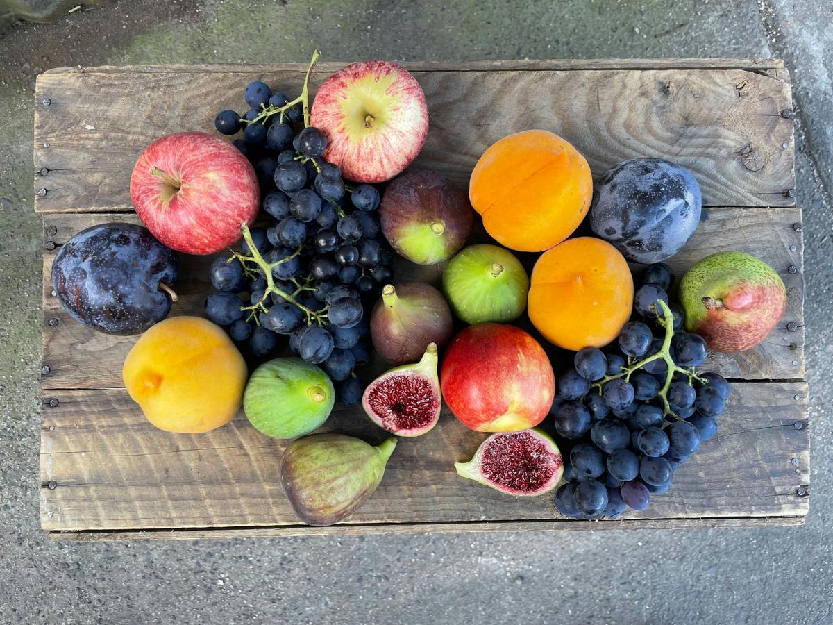 Fruit Basket