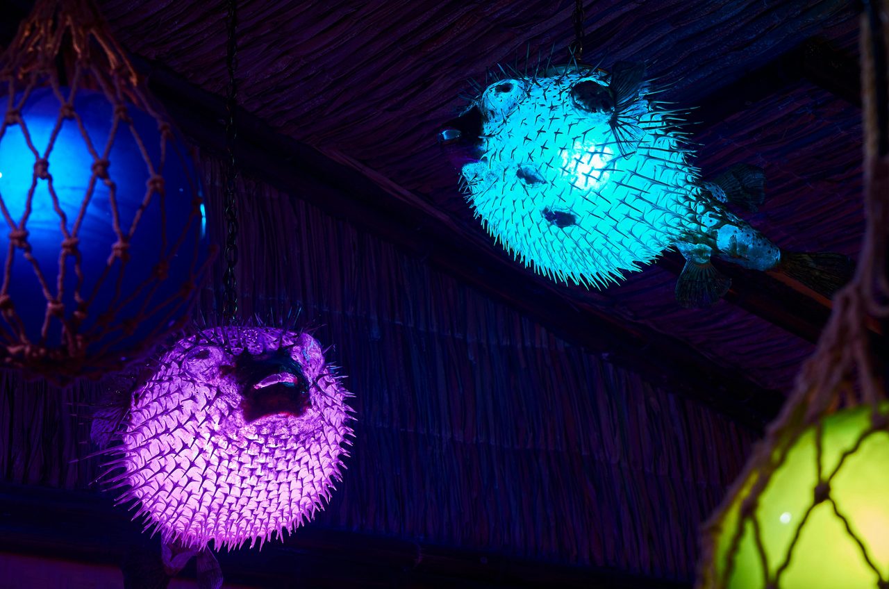 Jacoby’s Tiki Bar