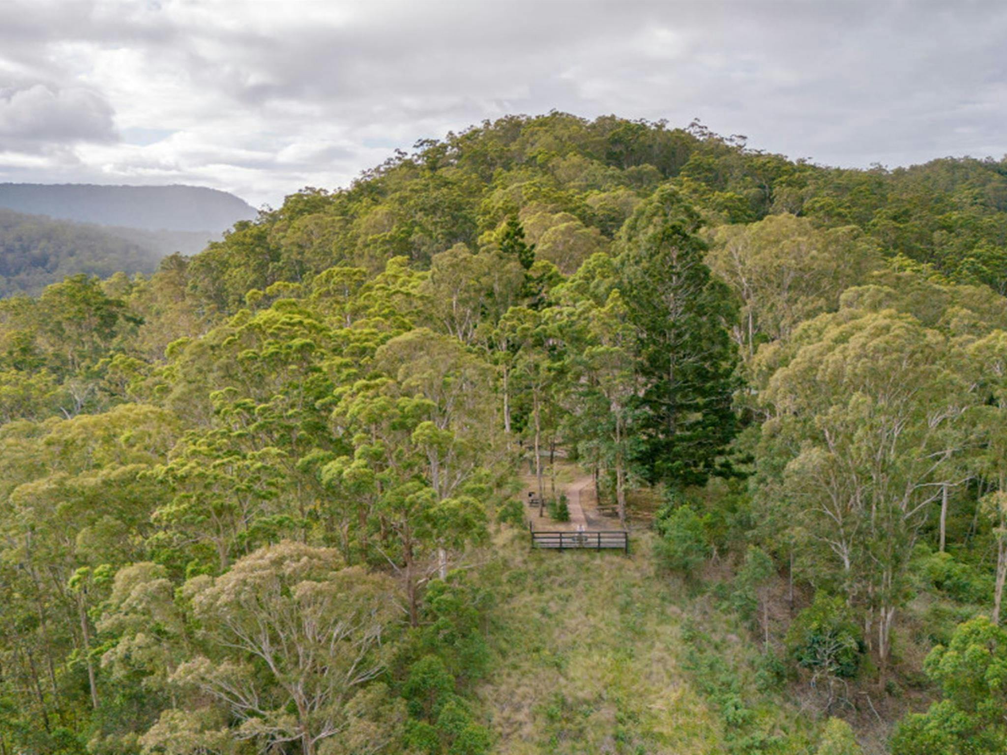 Border Loop lookout and picnic area in Border Ranges National Park. Credit: John Spencer &copy; DPE