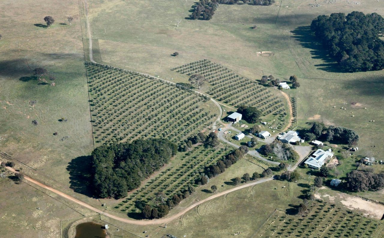 Homeleigh Grove