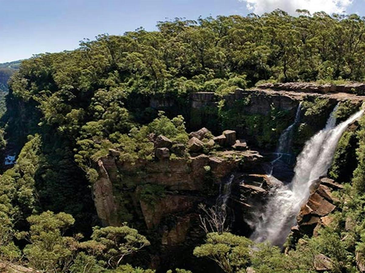 View of Carrington Falls waterfall in Budderoo National Park. Photo credit: Michael Van Ewijk &copy;