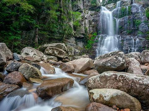 Budderoo National Park