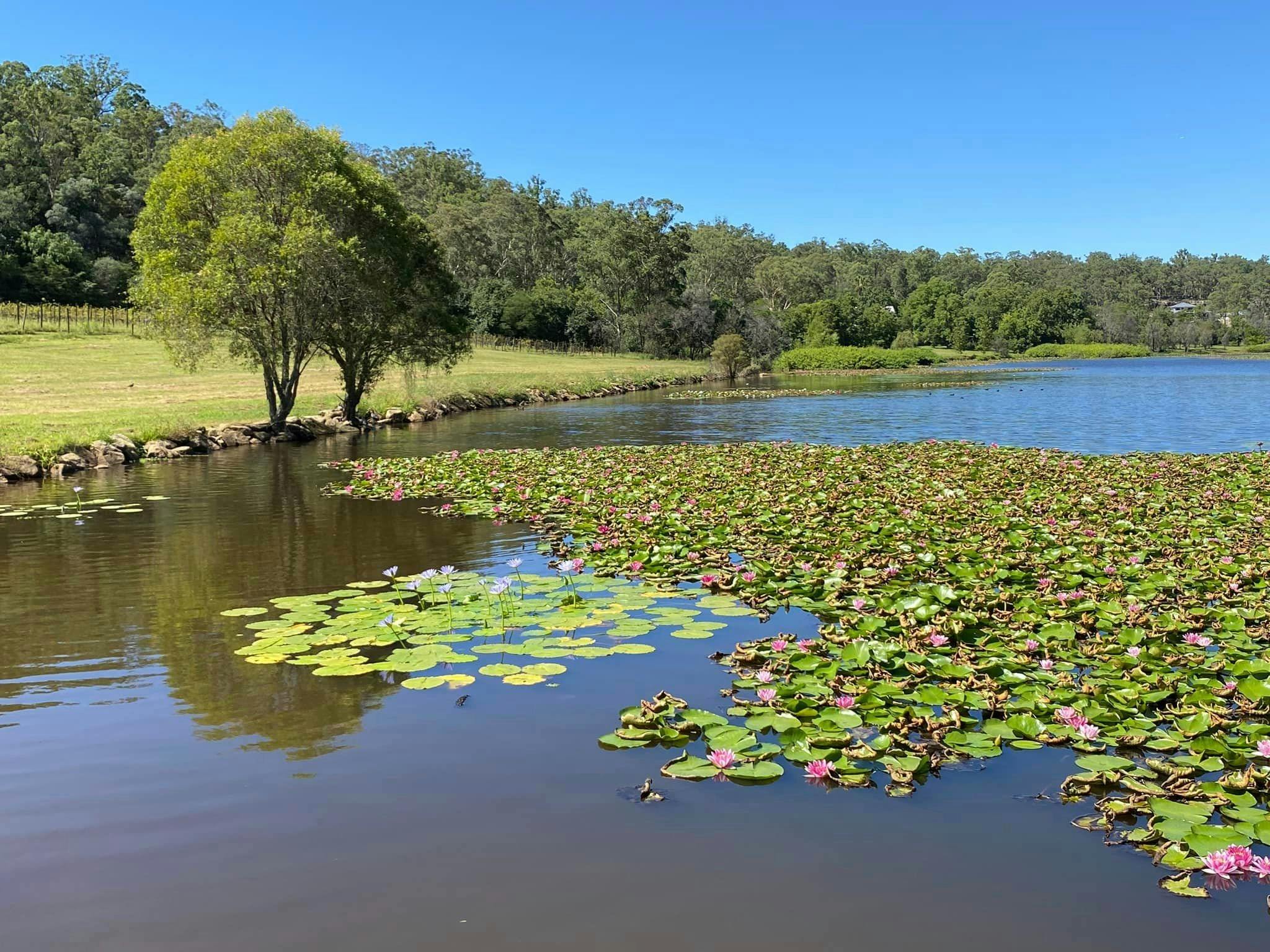 Views as stunning as our wines