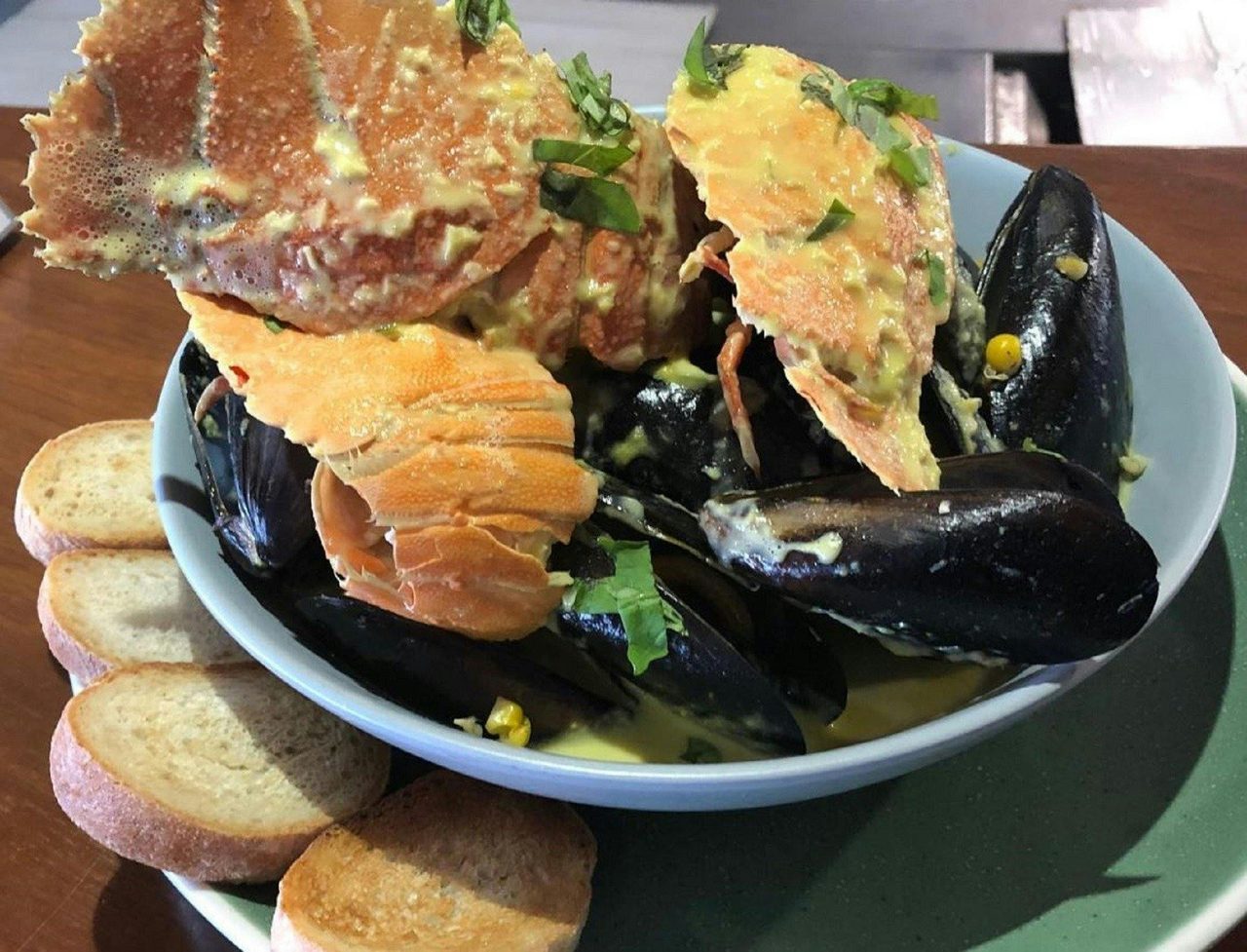 Mussels