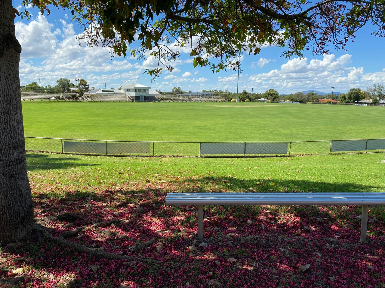 Seat overlooking oval