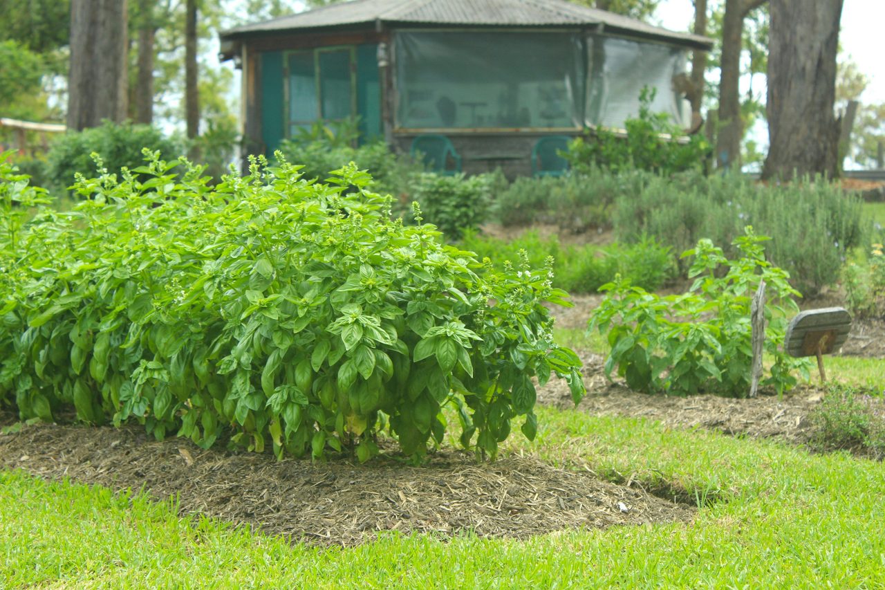Hillview Herb Farm